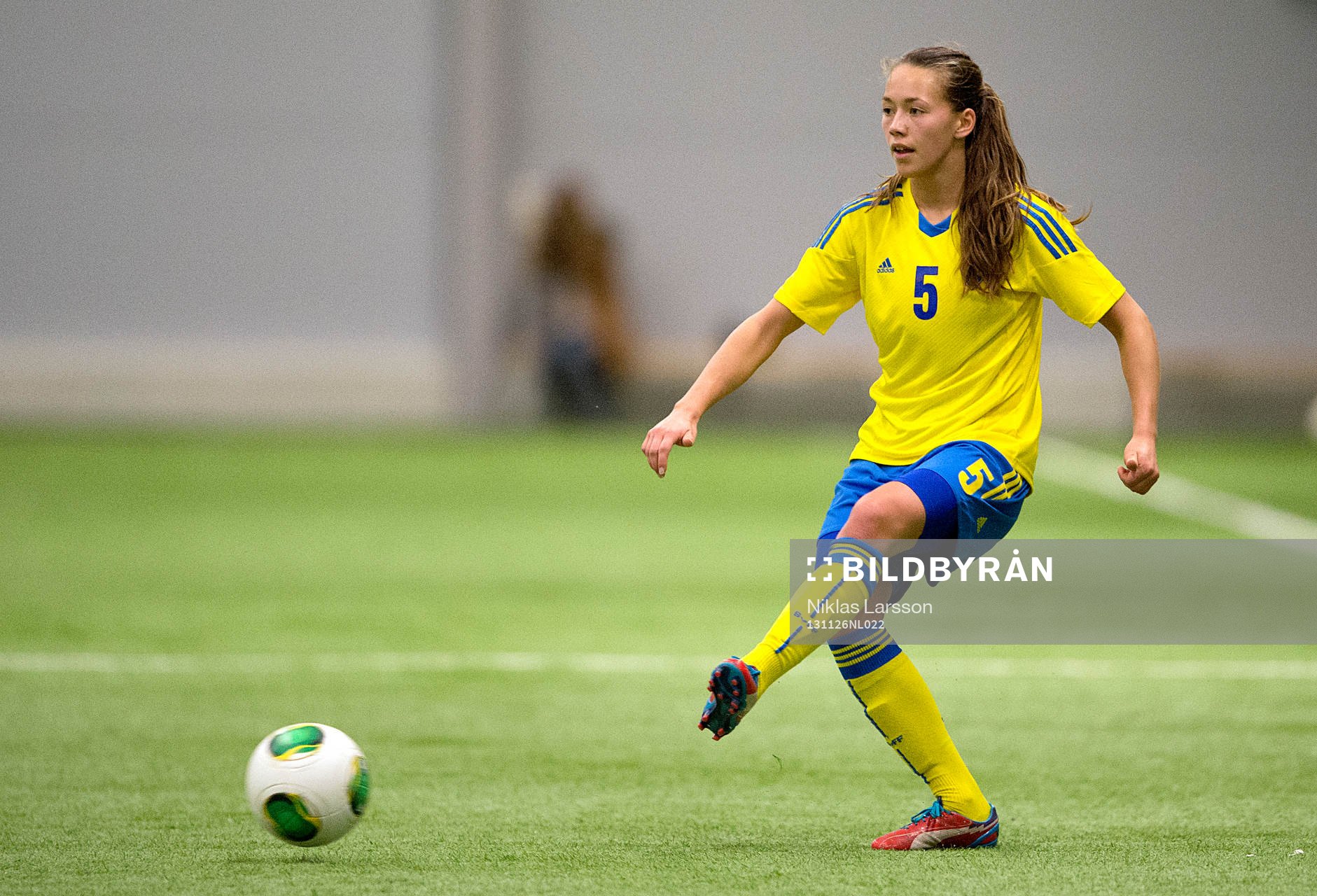Elin Landström, Sverige