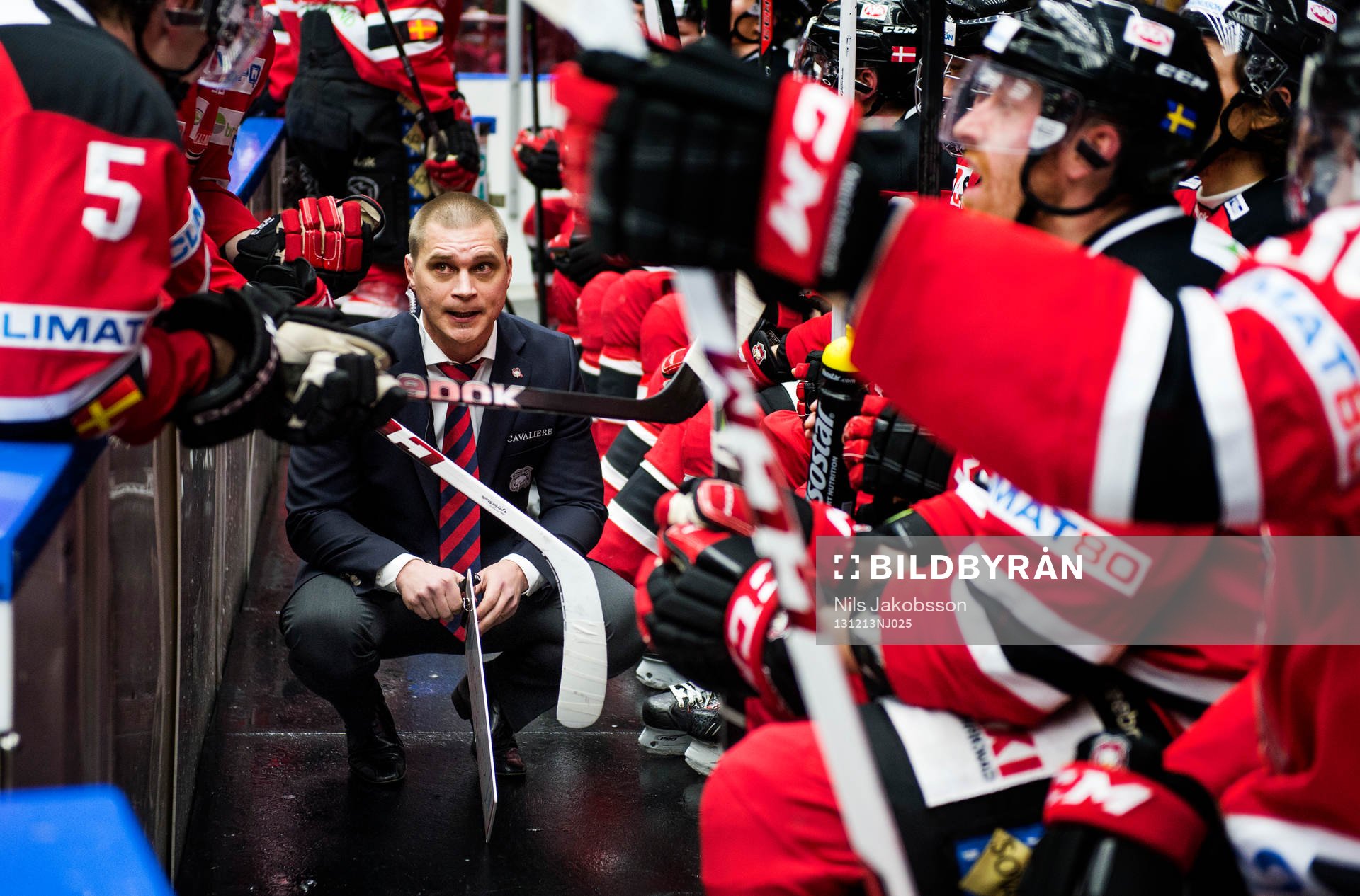 Malmö Redhawks assisterande tränare Björn Hellqvistunder