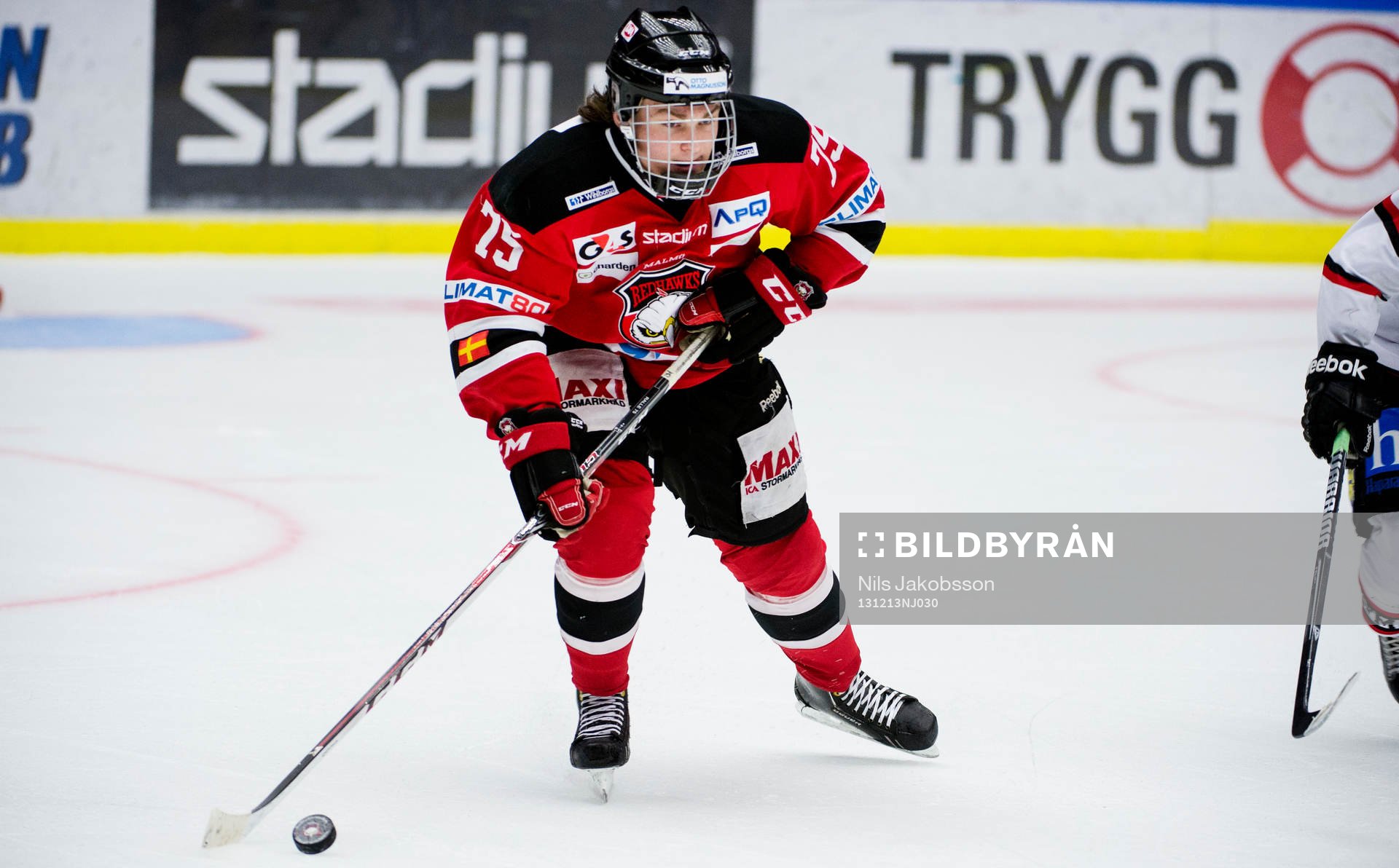 Malmö Redhawks Rasmus Andersson