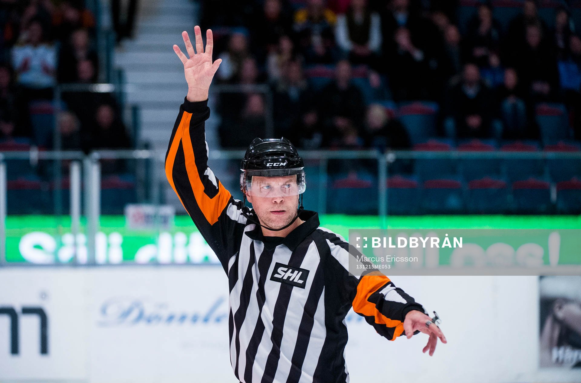 Domare Ulf Rönnmark