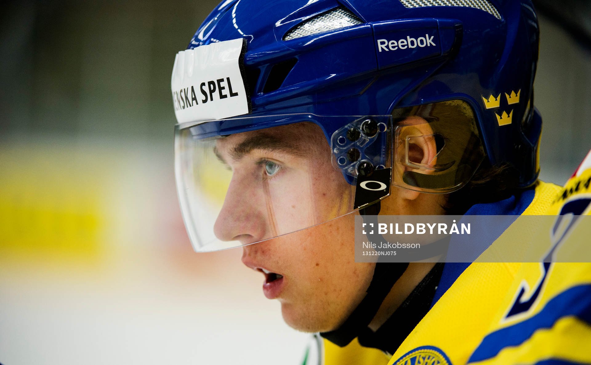 Sveriges Christian Djoos