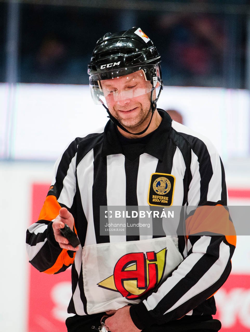 Domare Niclas Johansson