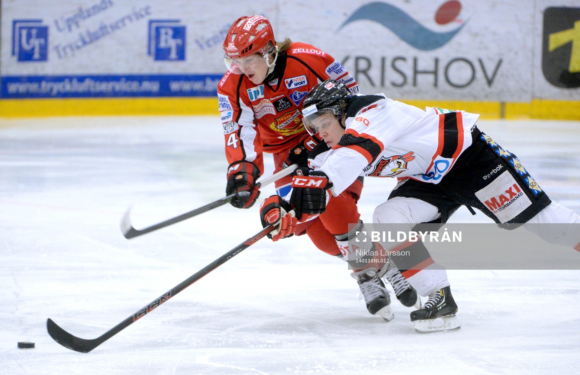 Malmö Redhawks Daniel Viksten och Almtunas Victor Aronsson