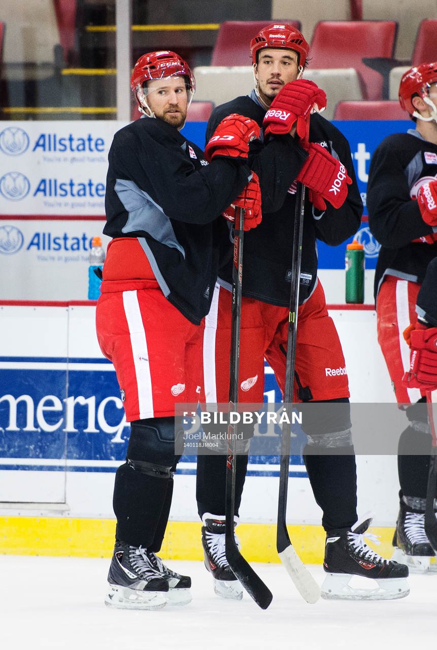 Niklas Kronwall och Jonathan Ericsson