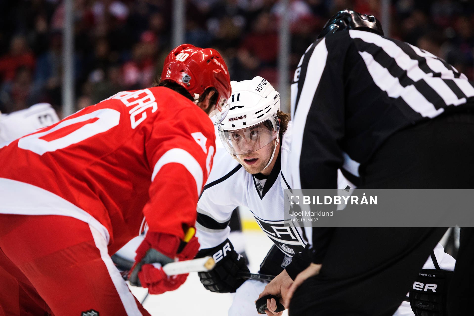 Los Angeles Anze Kopitar spänner blicken i Detroits Henrik