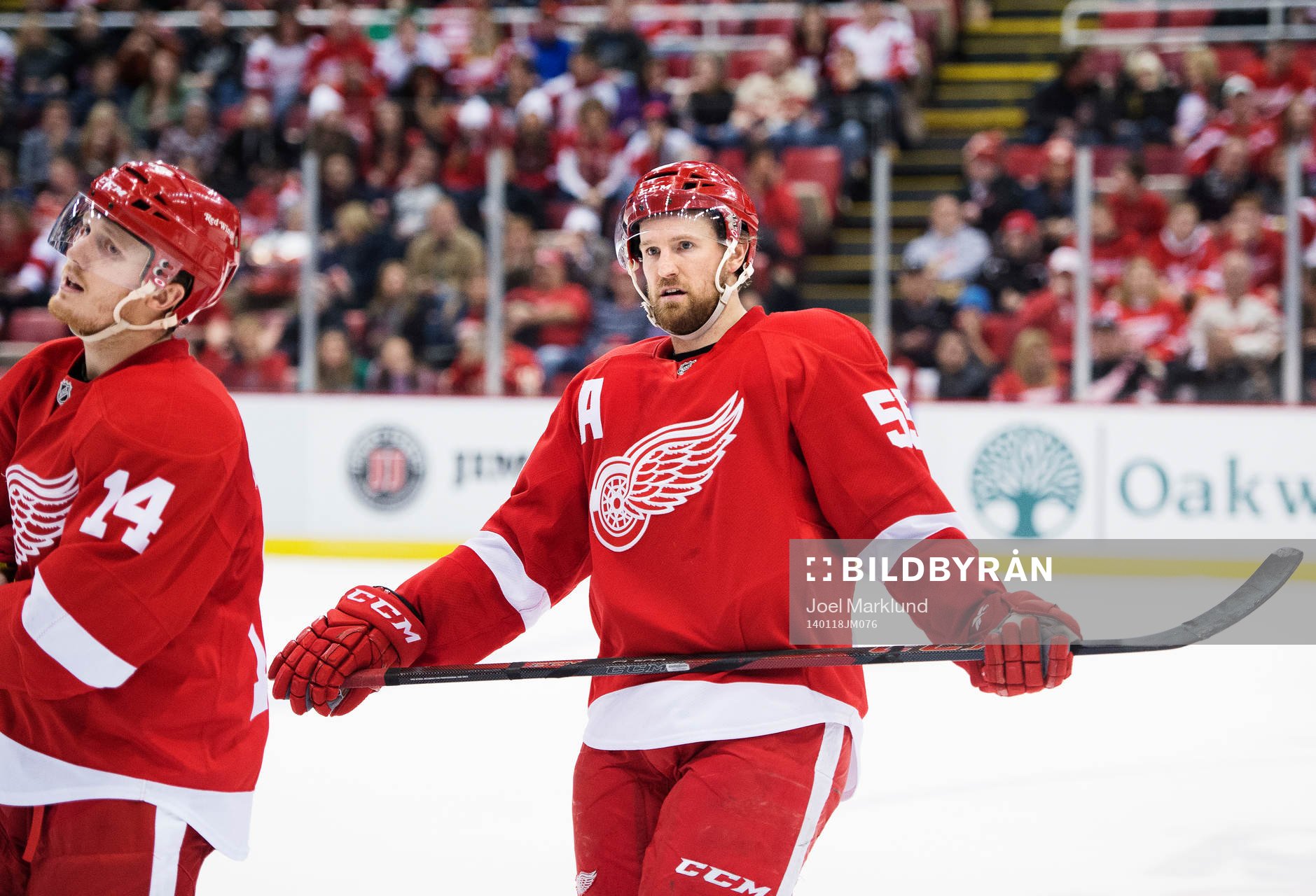 Detroits Gustav Nyquist och Niklas Kronwall