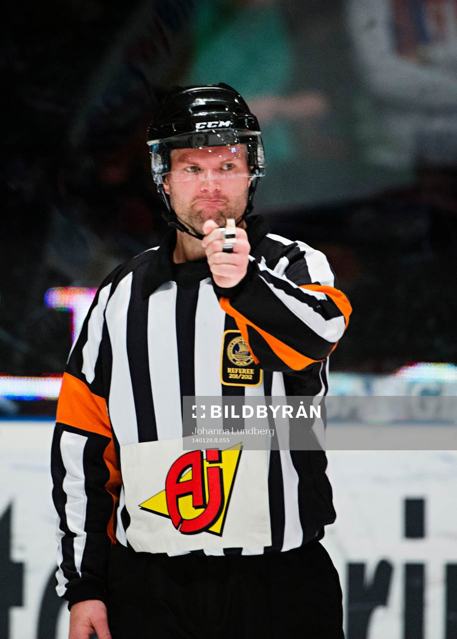 Domare David Bergman