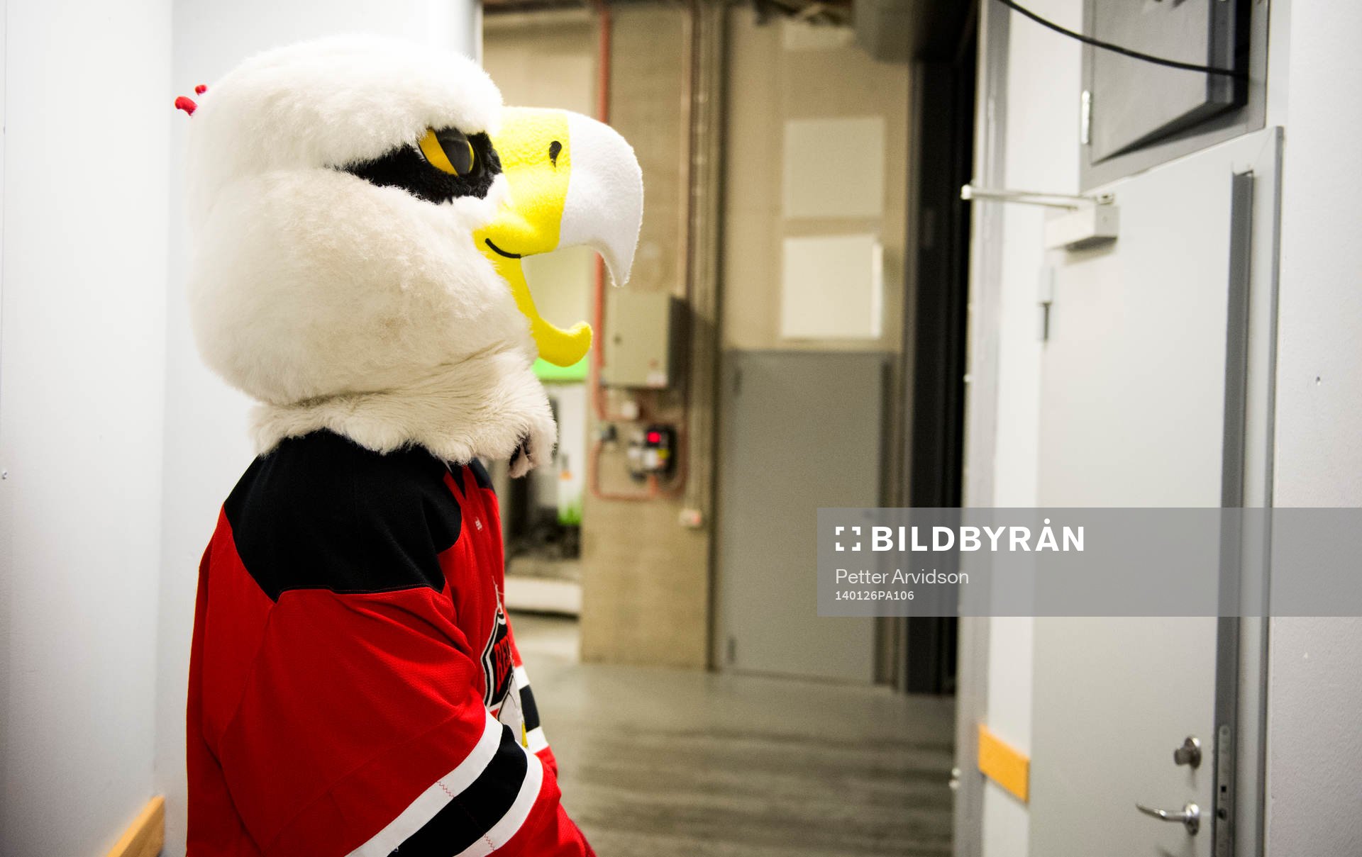 Malmö Redhawks maskoten Hawkan väntar på att få göra