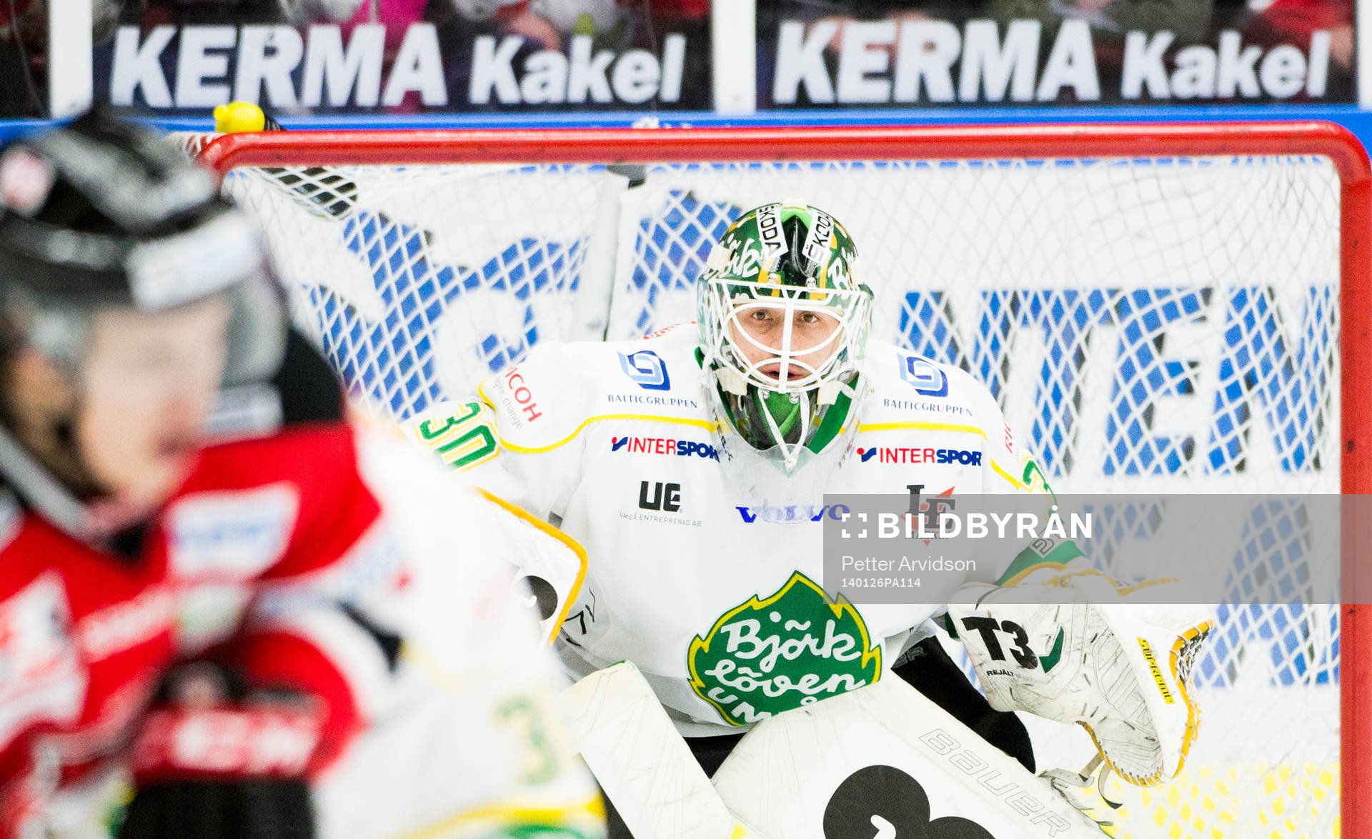 Björklövens målvakt Andrew Raycroft
