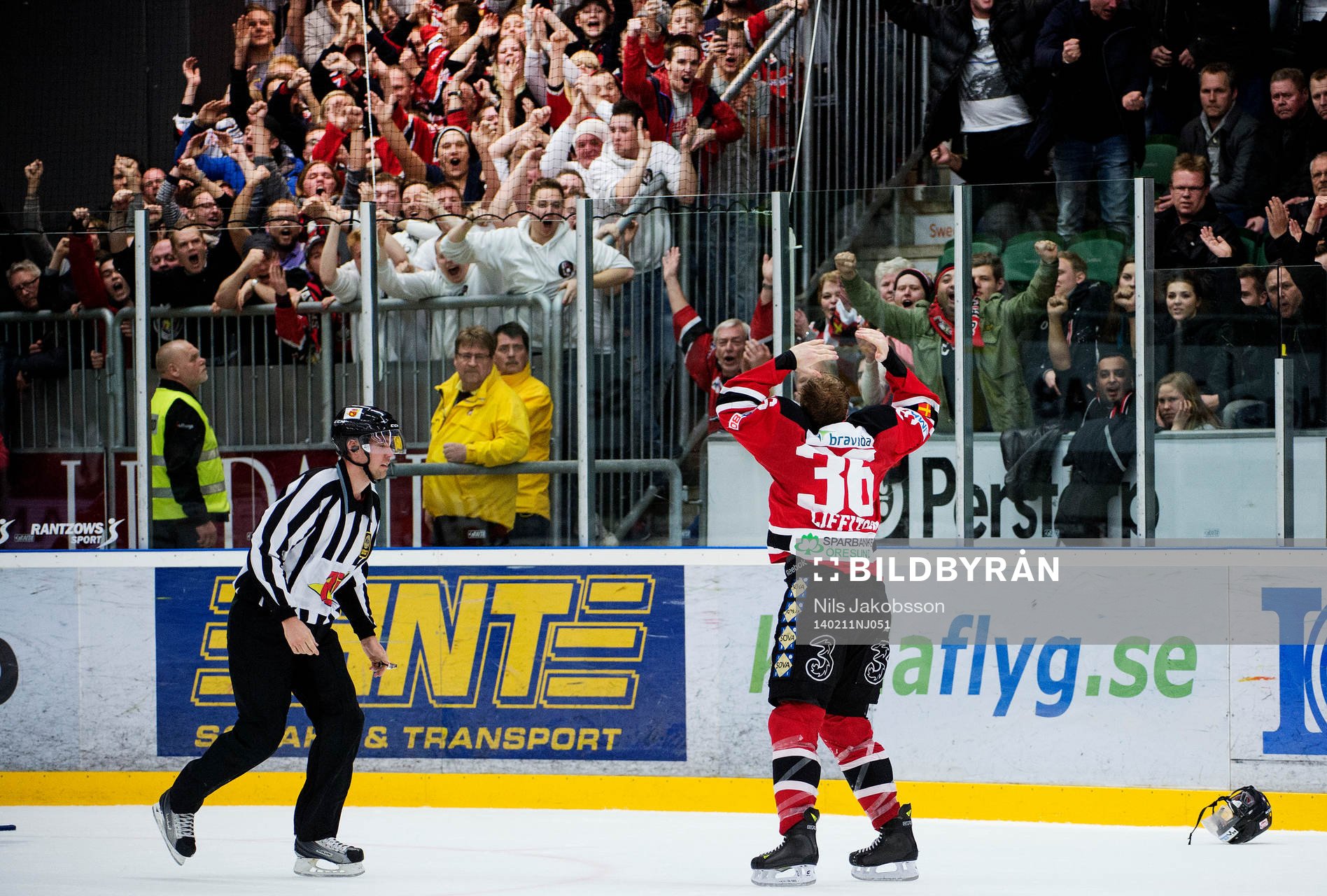 Malmö Redhawks David Liffiton jublar
