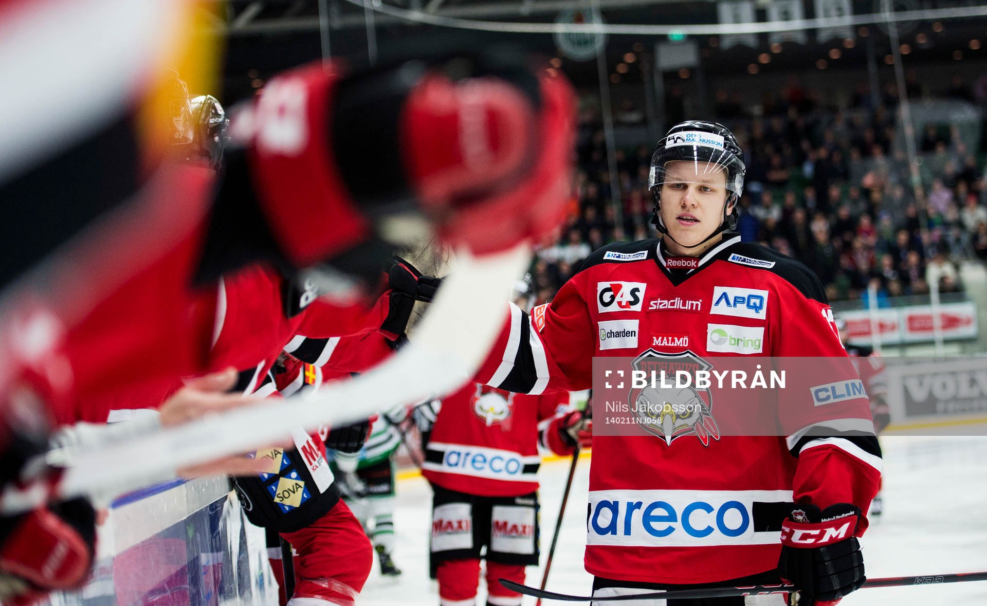 Malmö Redhawks Daniel Viksten jublar