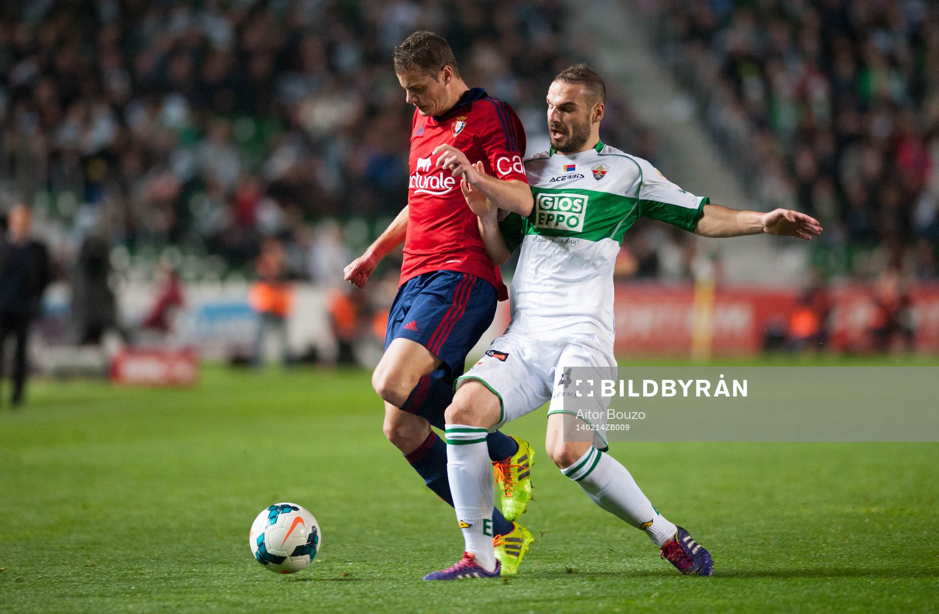 ELCHE, ESPANA - 14 DE FEBRERO: David Rodriguez Lomban trata