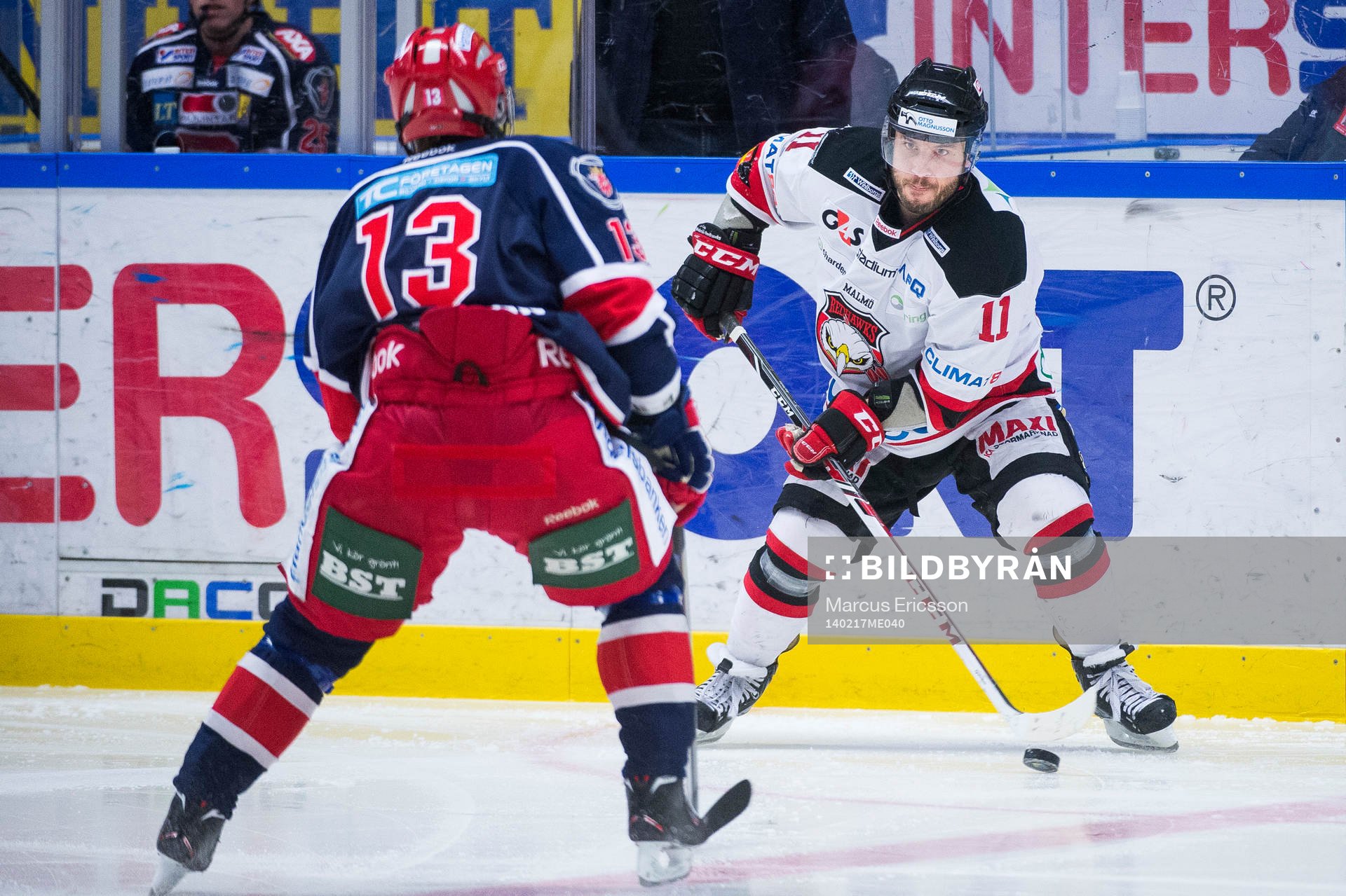 Malmö Redhawks Joey Tenute