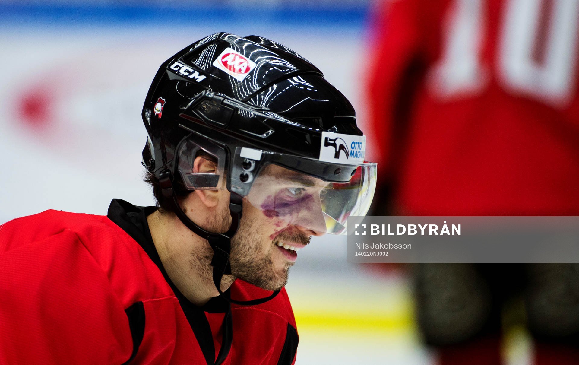 Malmö Redhawks Brian Ihnacak
