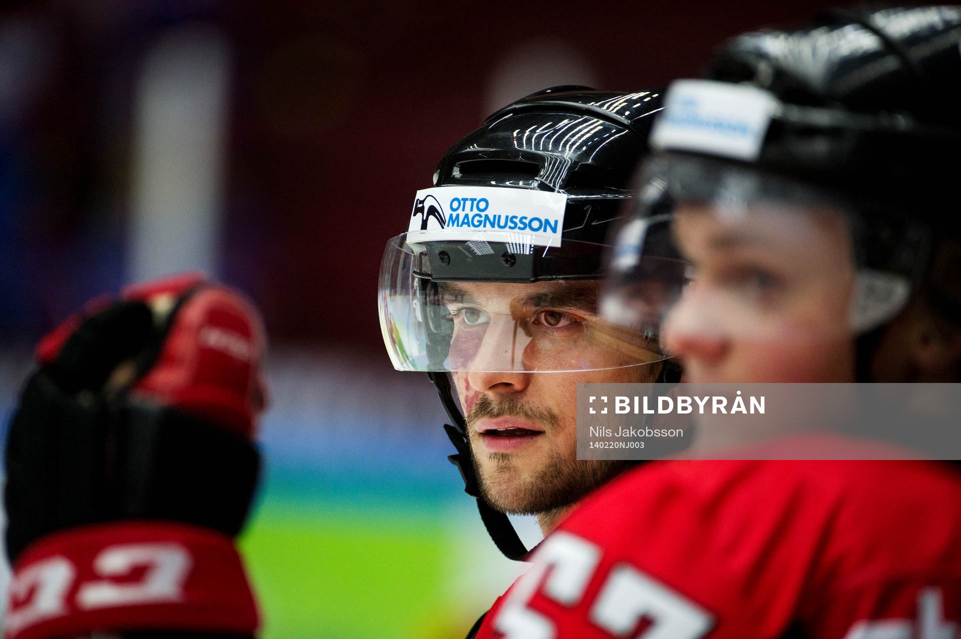 Malmö Redhawks Brian Ihnacak