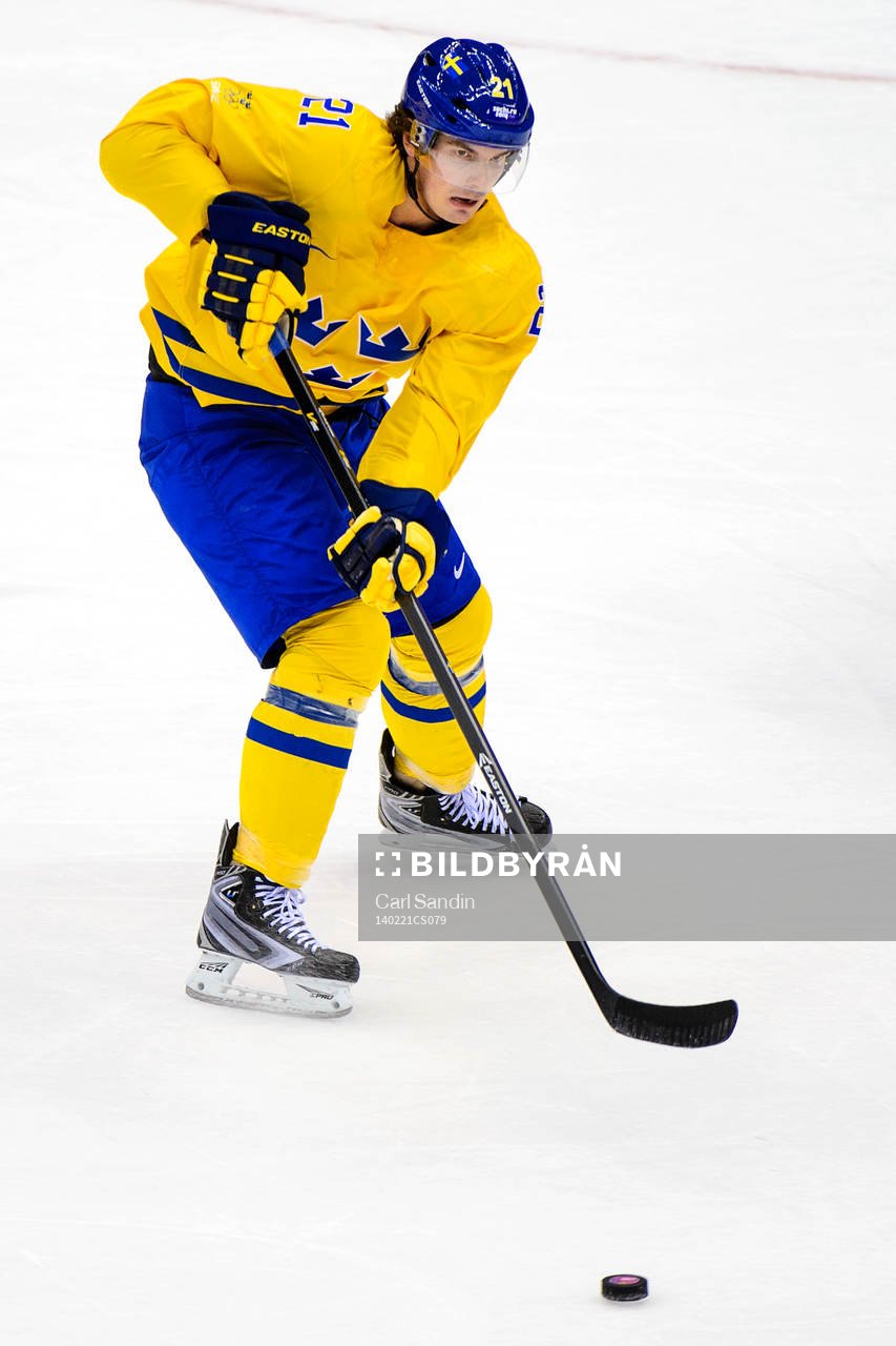Sveriges Loui Eriksson