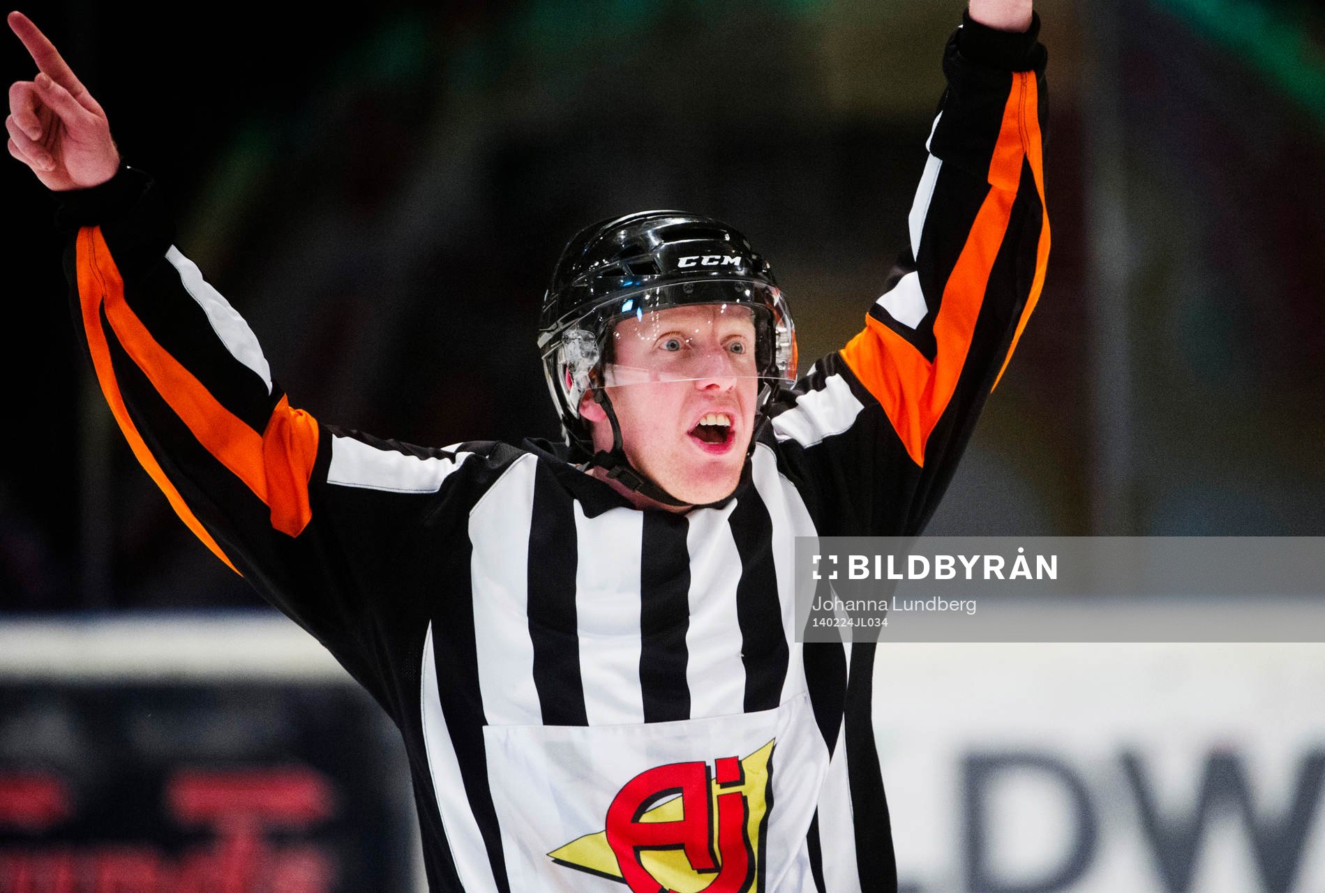 Domare Mikael Holm