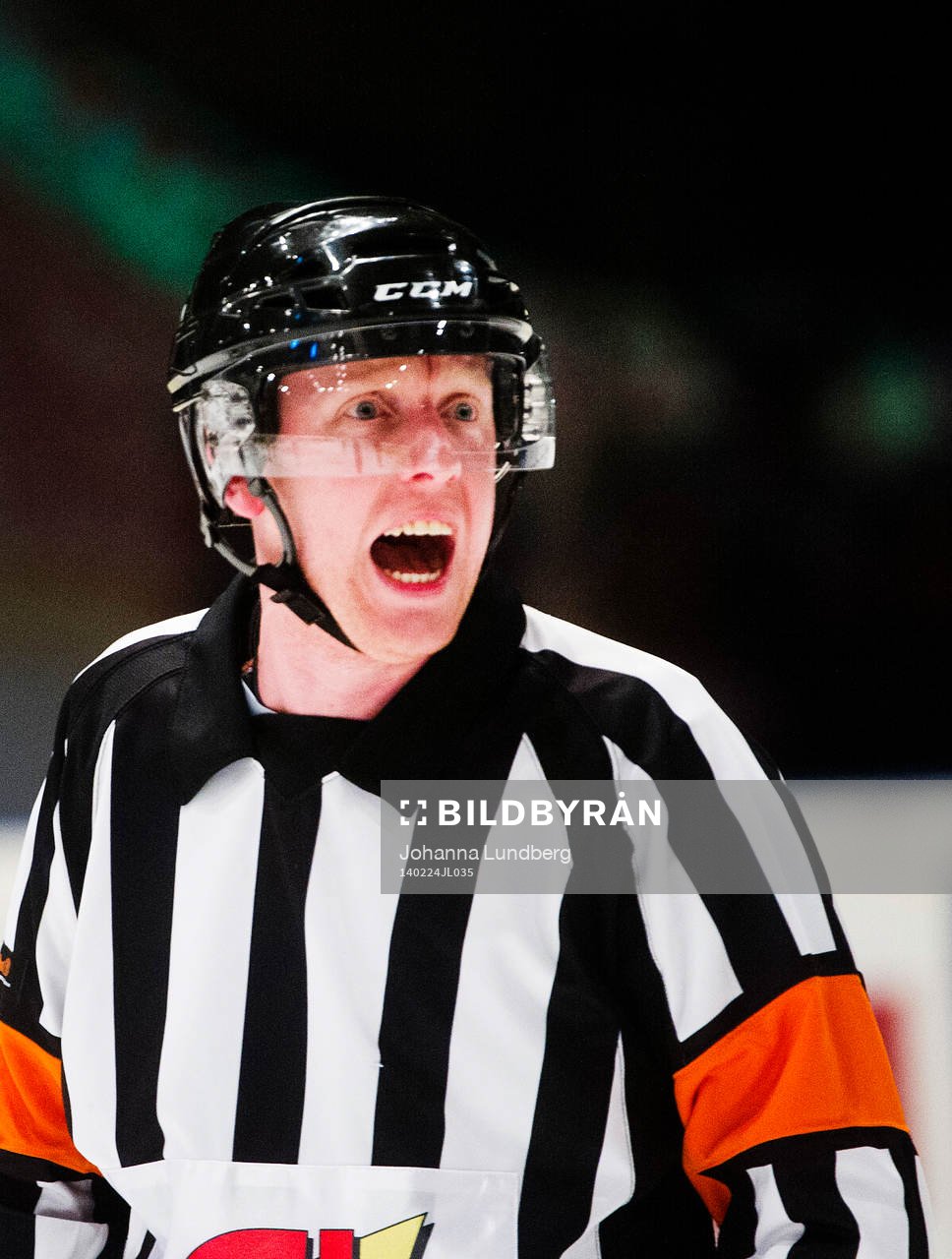 Domare Mikael Holm