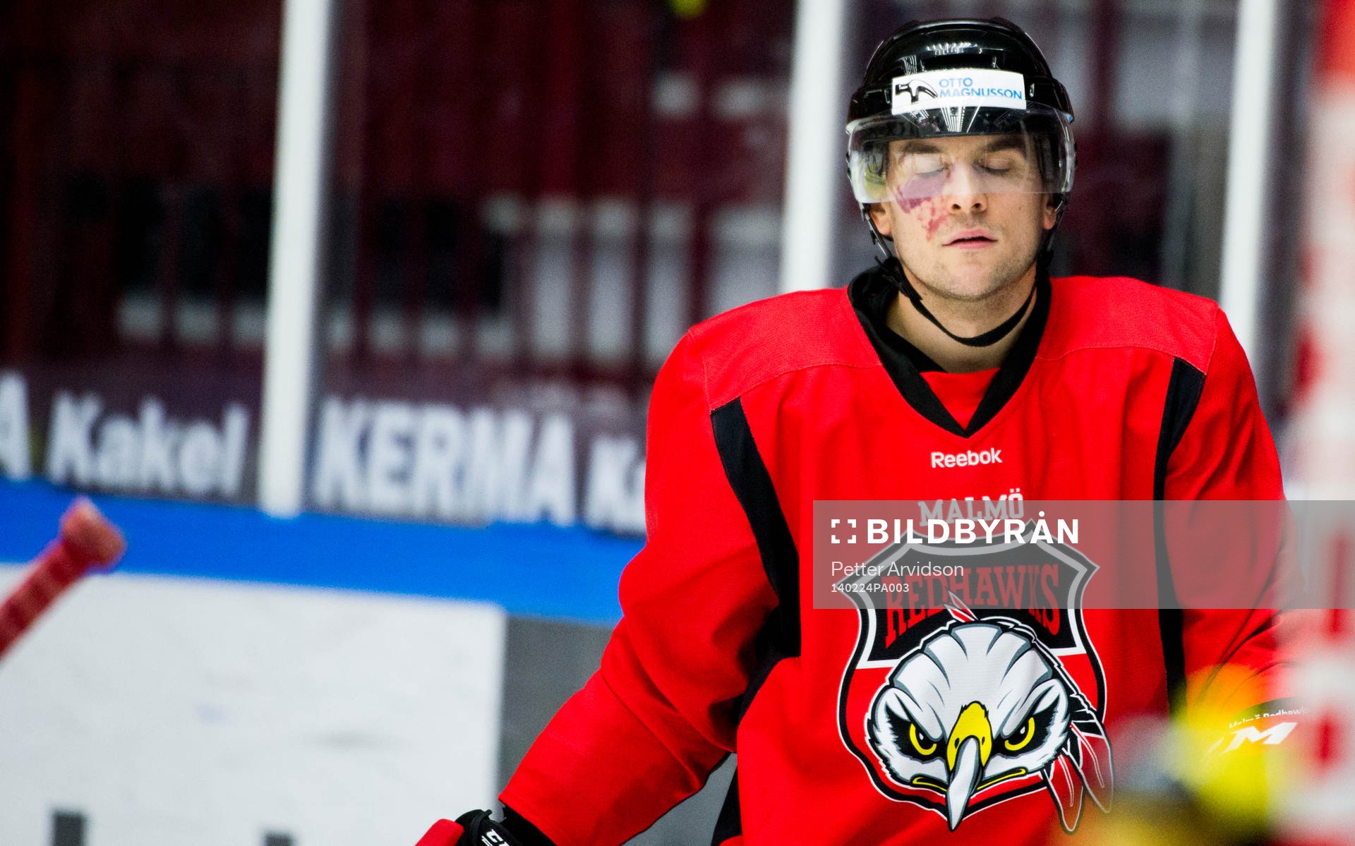 Malmö Redhawks Brian Ihnacak