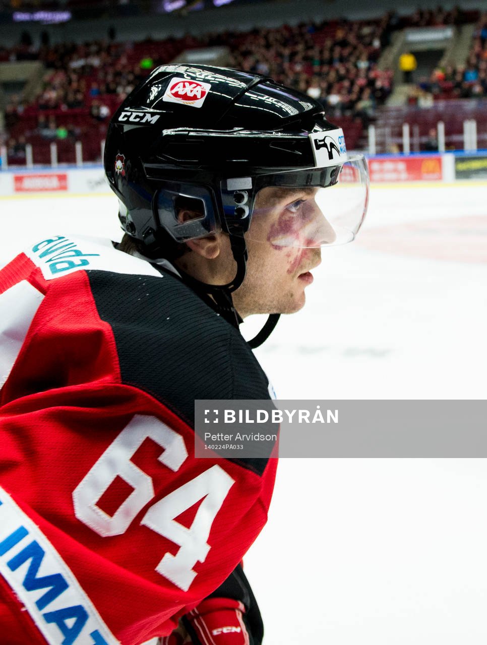 Malmö Redhawks Brian Ihnacak