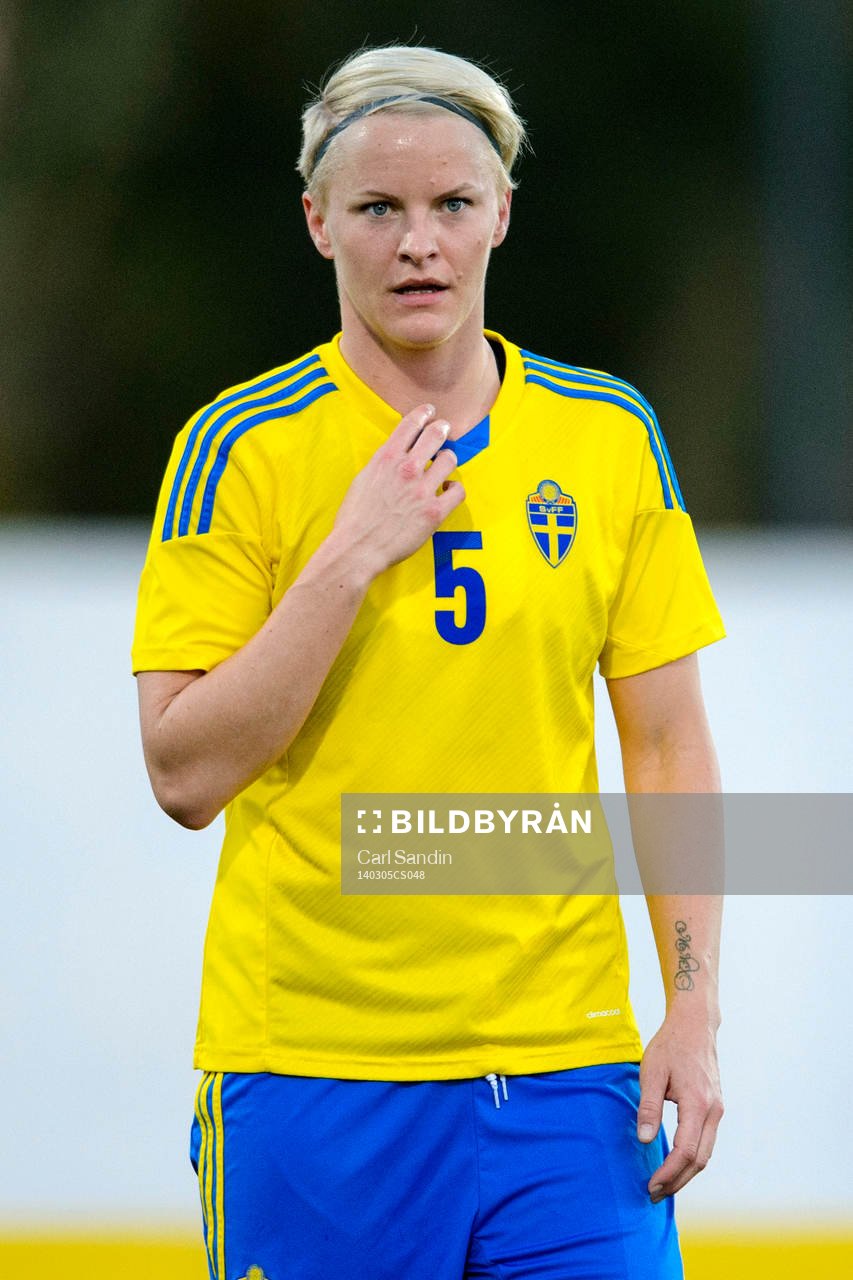 Sveriges Nilla Fischer i matchen mellan Sverige och Danmark