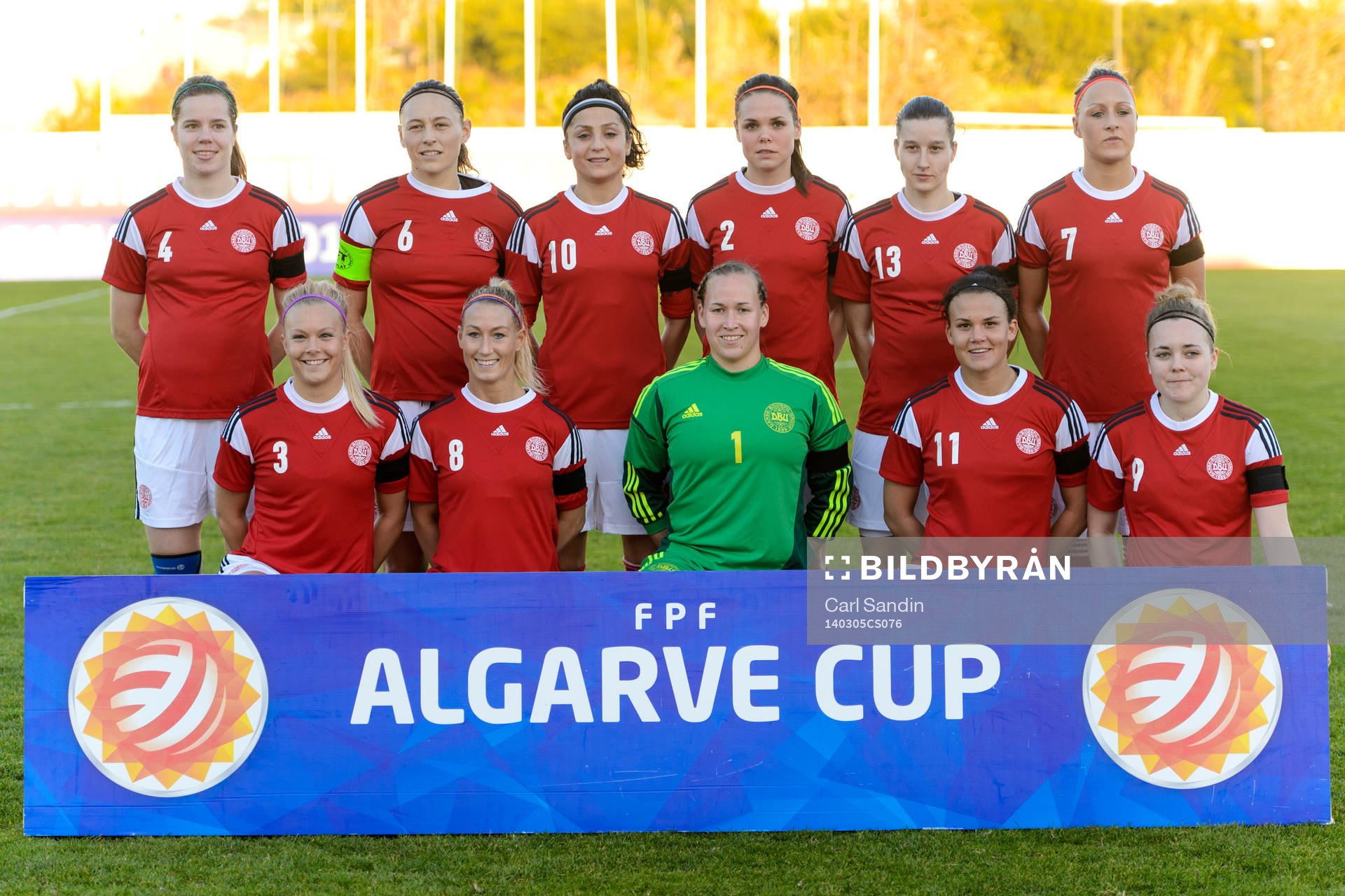 Danmarks startelva