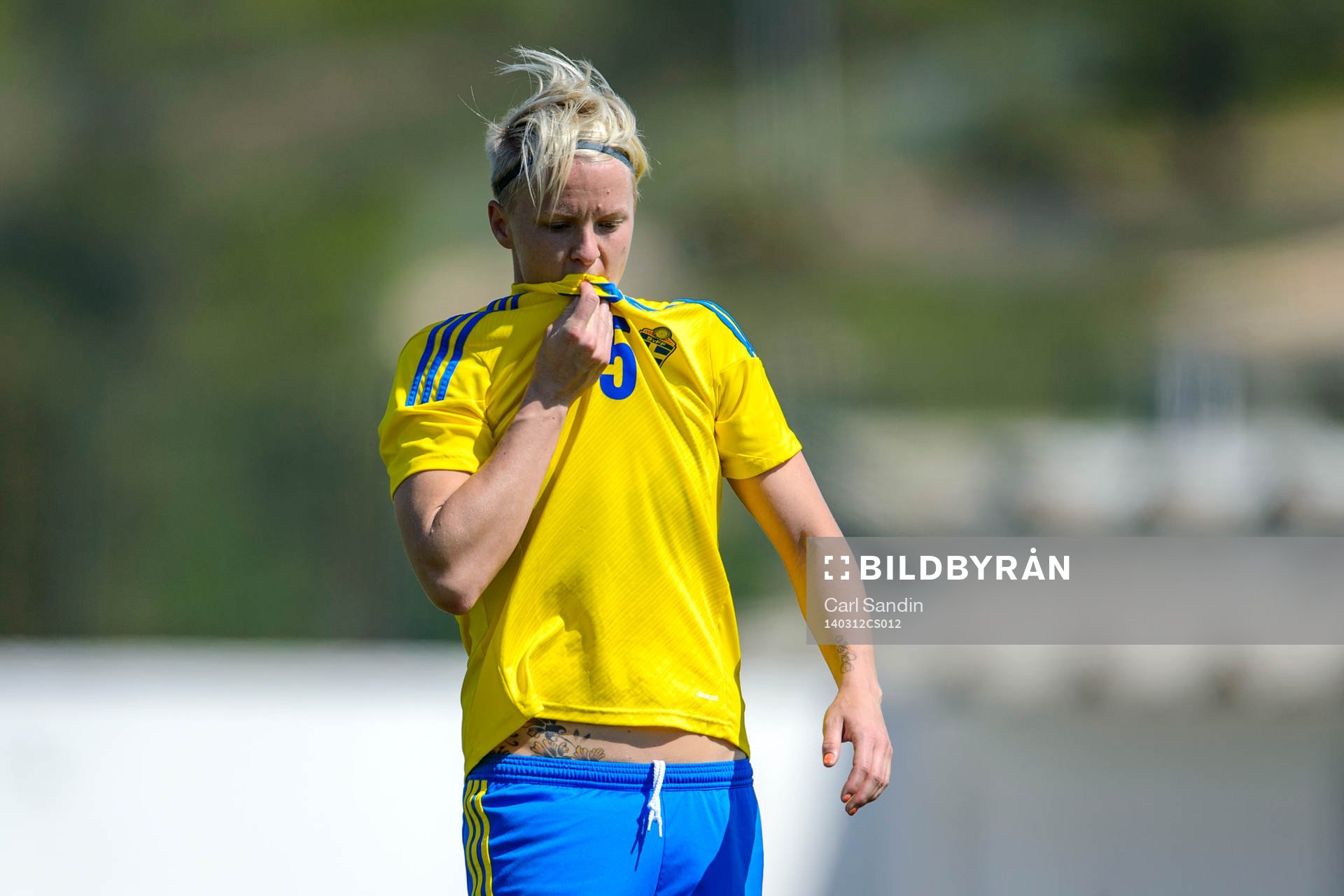 Sveriges Nilla Fischer deppar