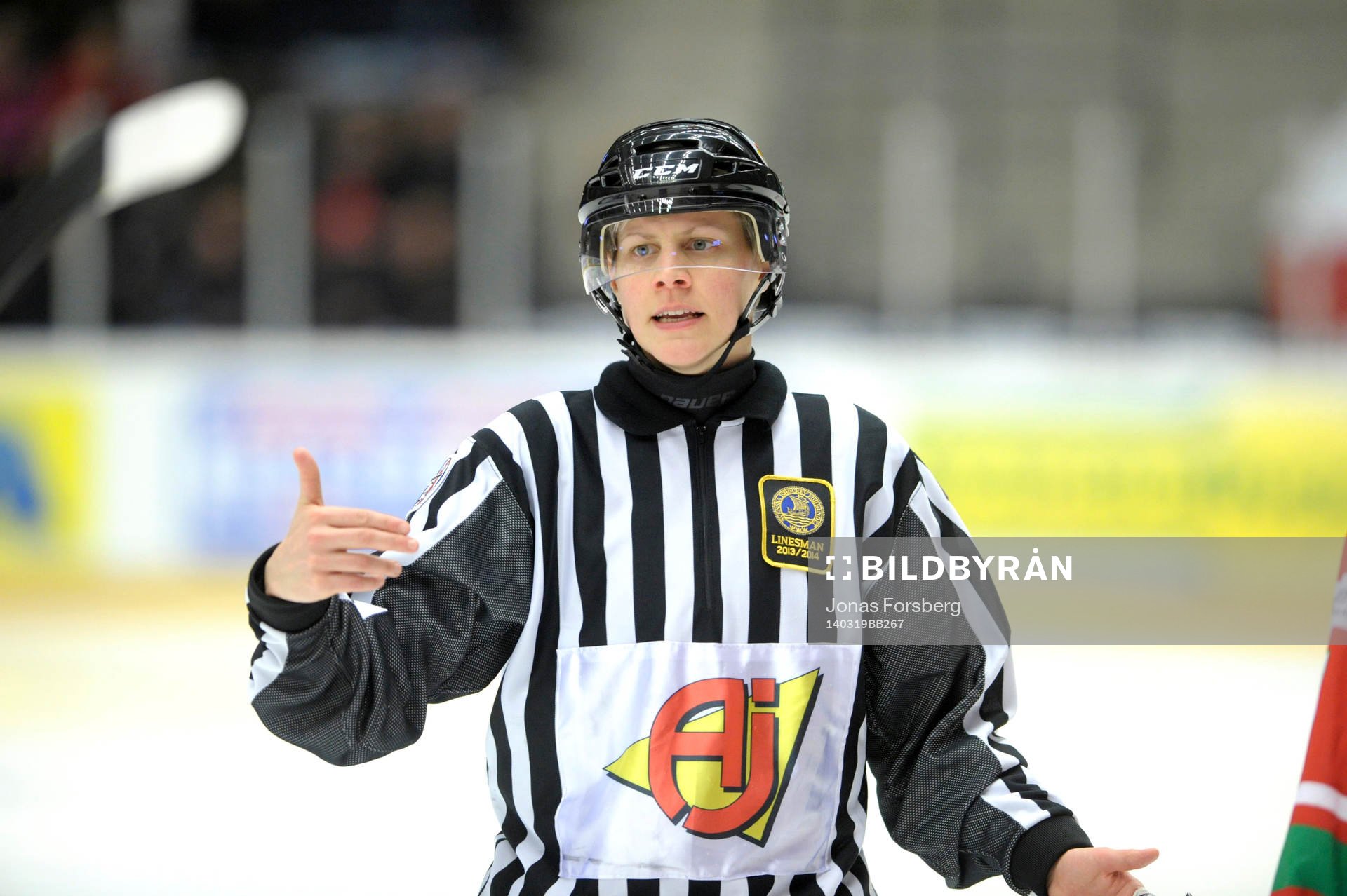 Domare Therese Björkman
