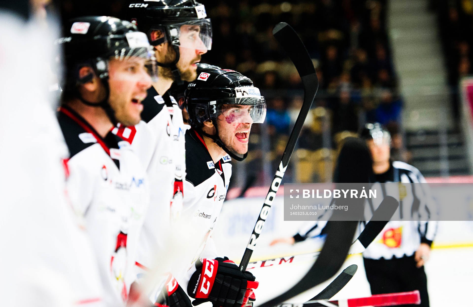 Malmö Redhawks spelare skriker på domaren