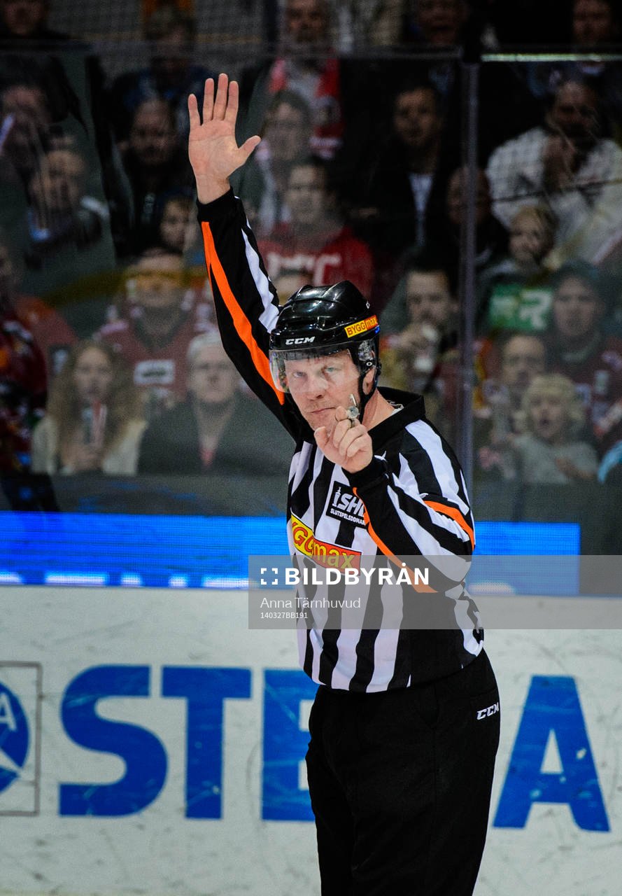 Domare Ulf Rönnmark