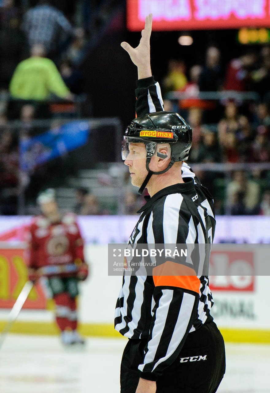 Domare Ulf Rönnmark
