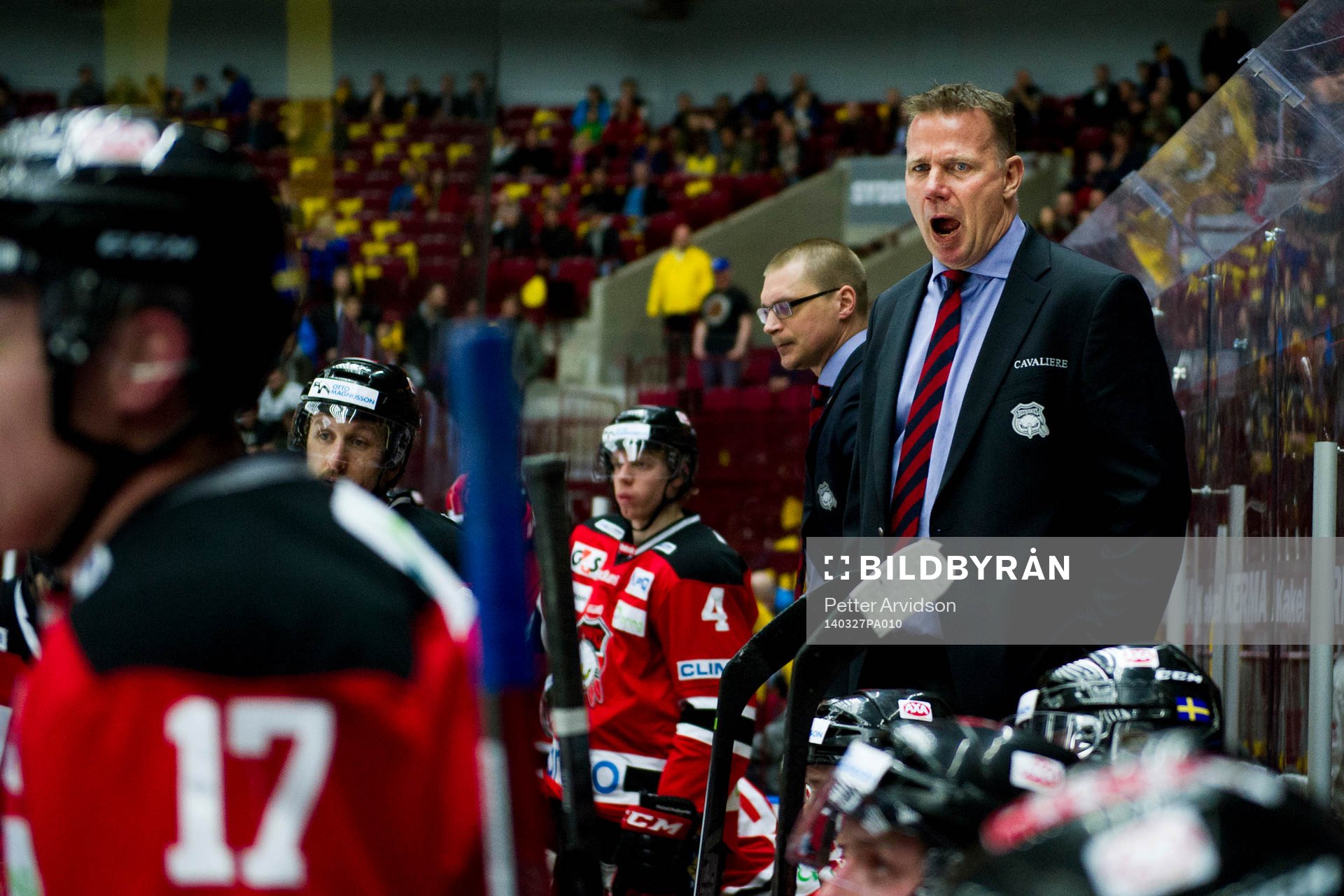 Malmö Redhawks tränare Mats Lusth