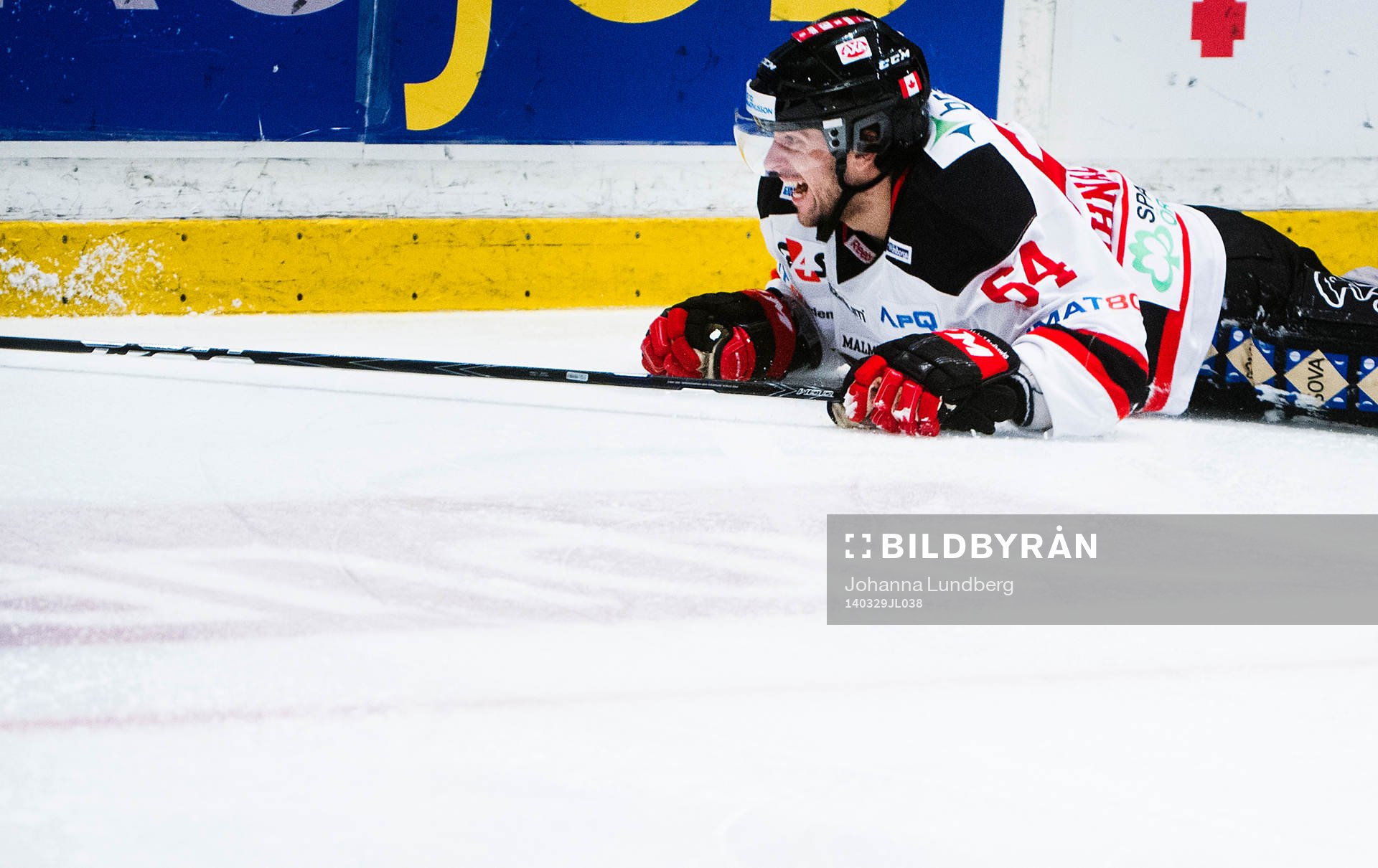 Malmö Redhawks Brian Ihnacak