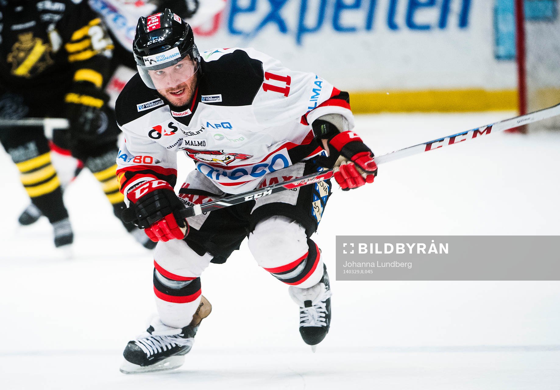 Malmö Redhawks Joey Tenute