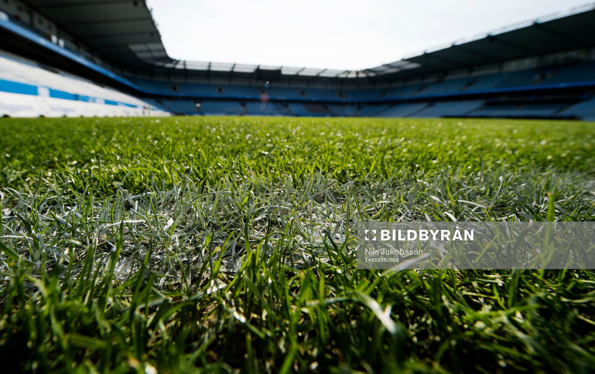 Gräset på Swedbank Stadion innan