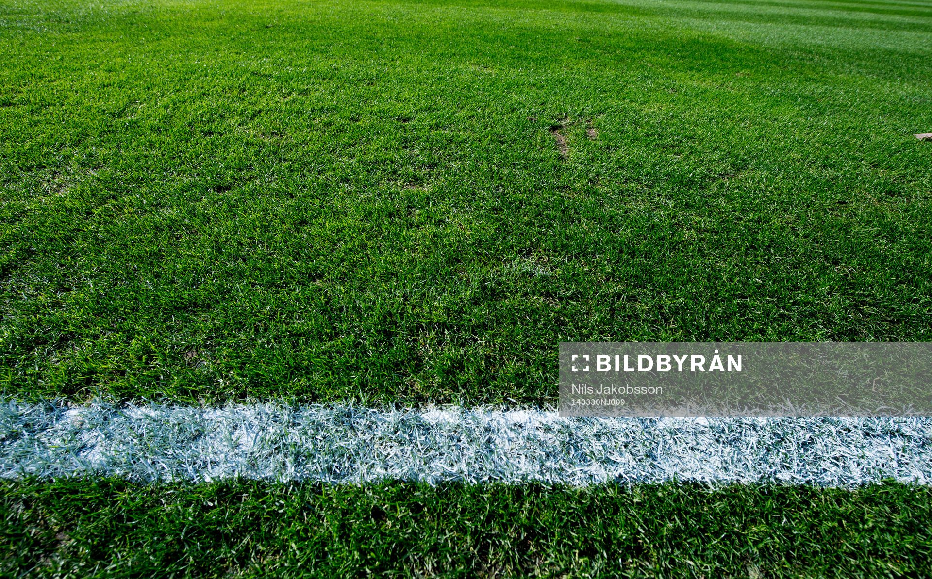 Gräset och en sidlinje på Swedbank Stadion innan