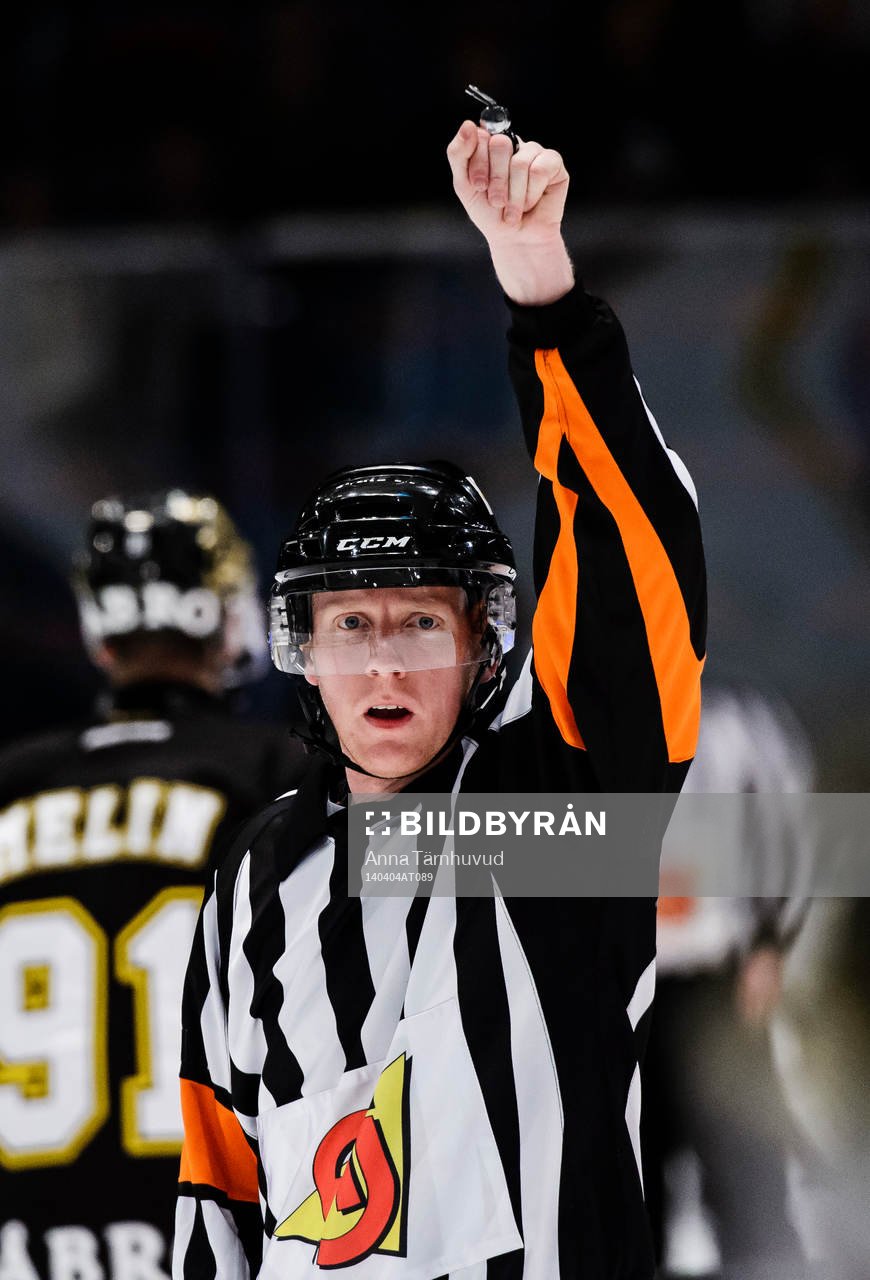 Domare Mikael Holm