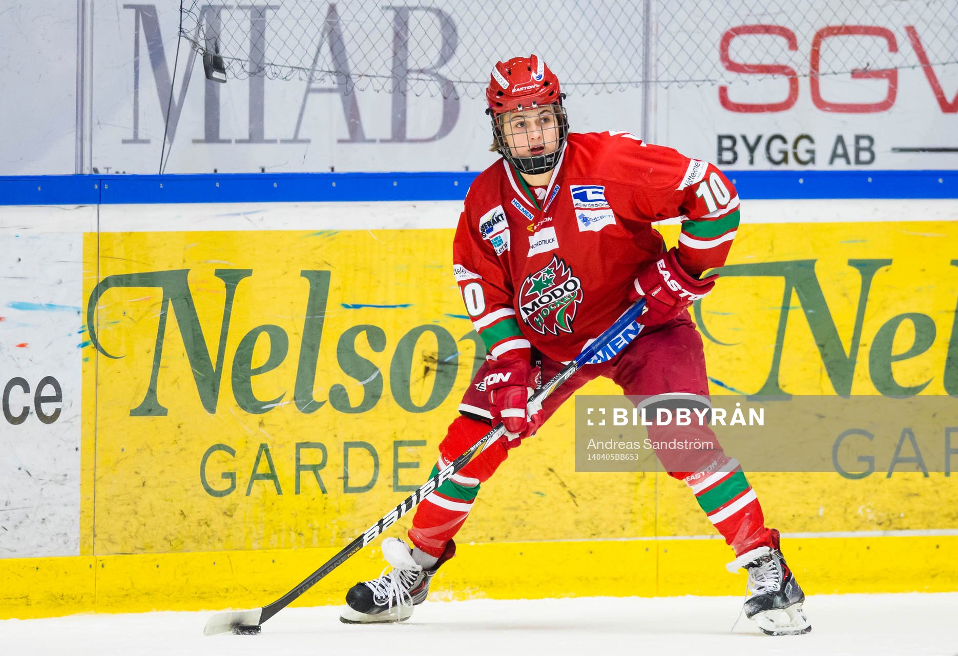 Modos William Nylander Altelius