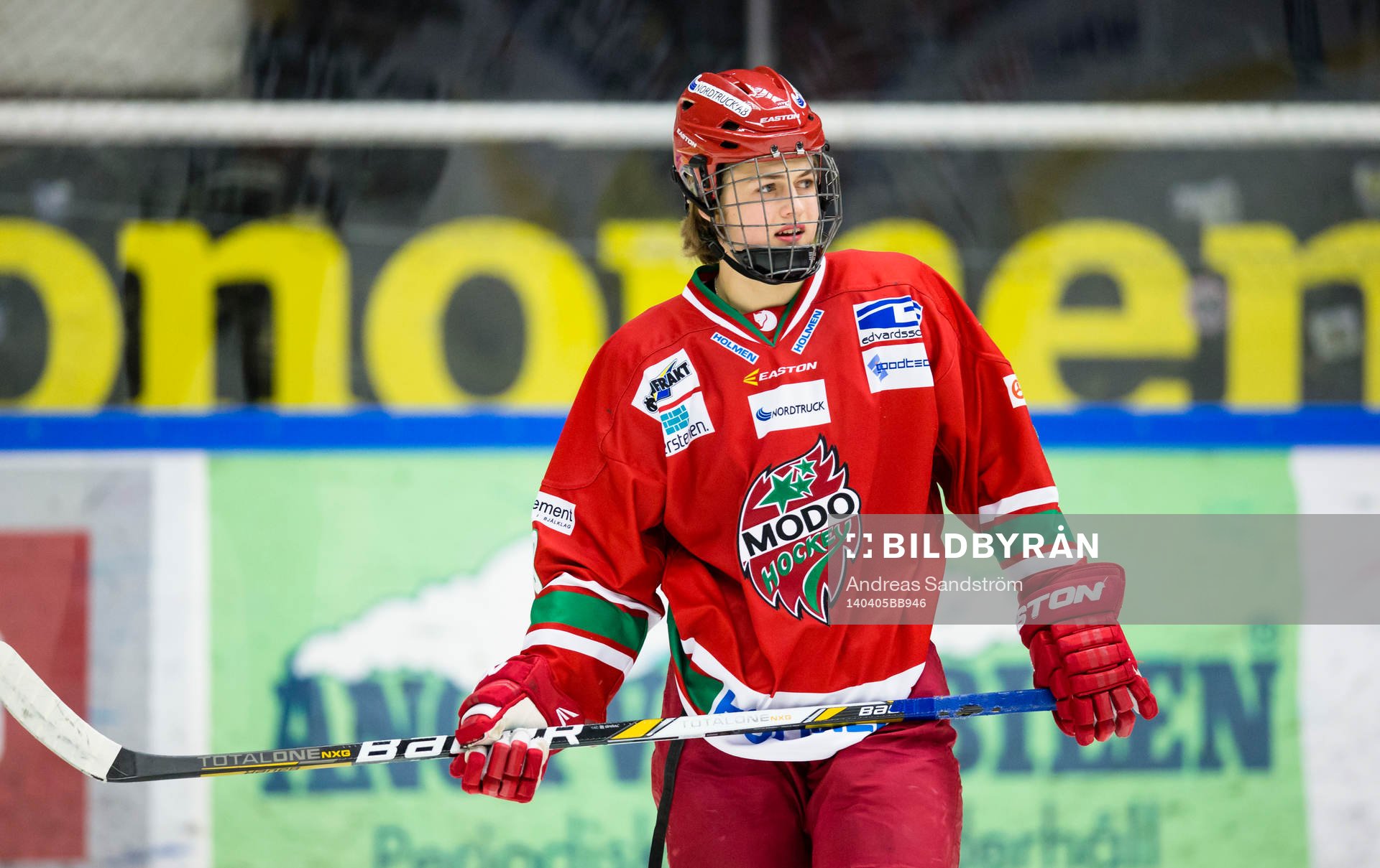 Modos William Nylander Altelius