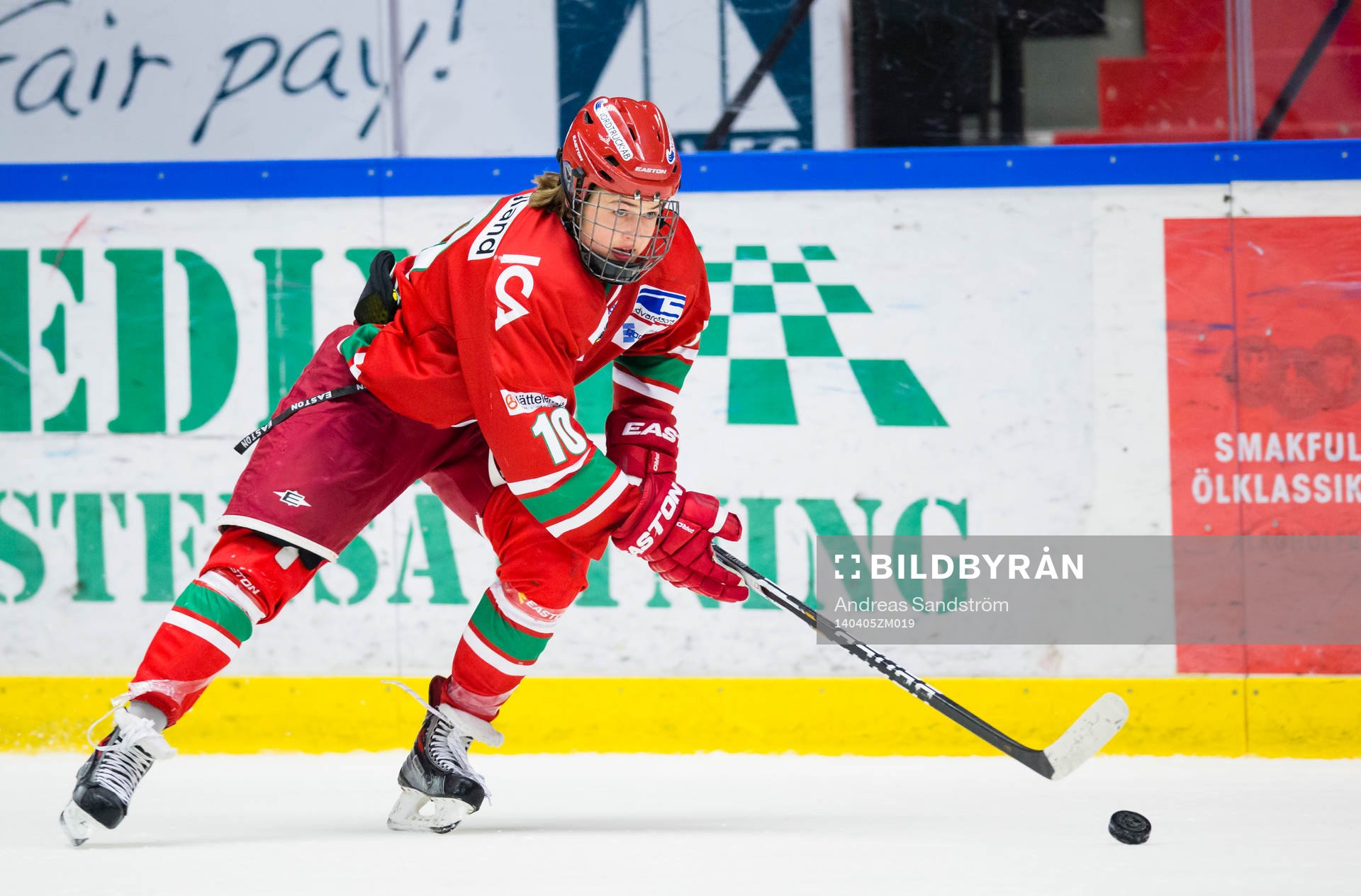 Modos William Nylander Altelius