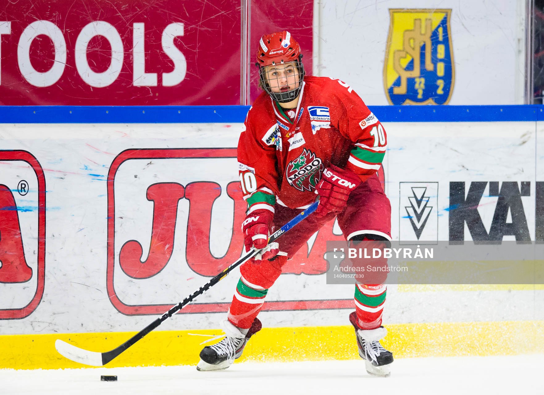Modos William Nylander Altelius