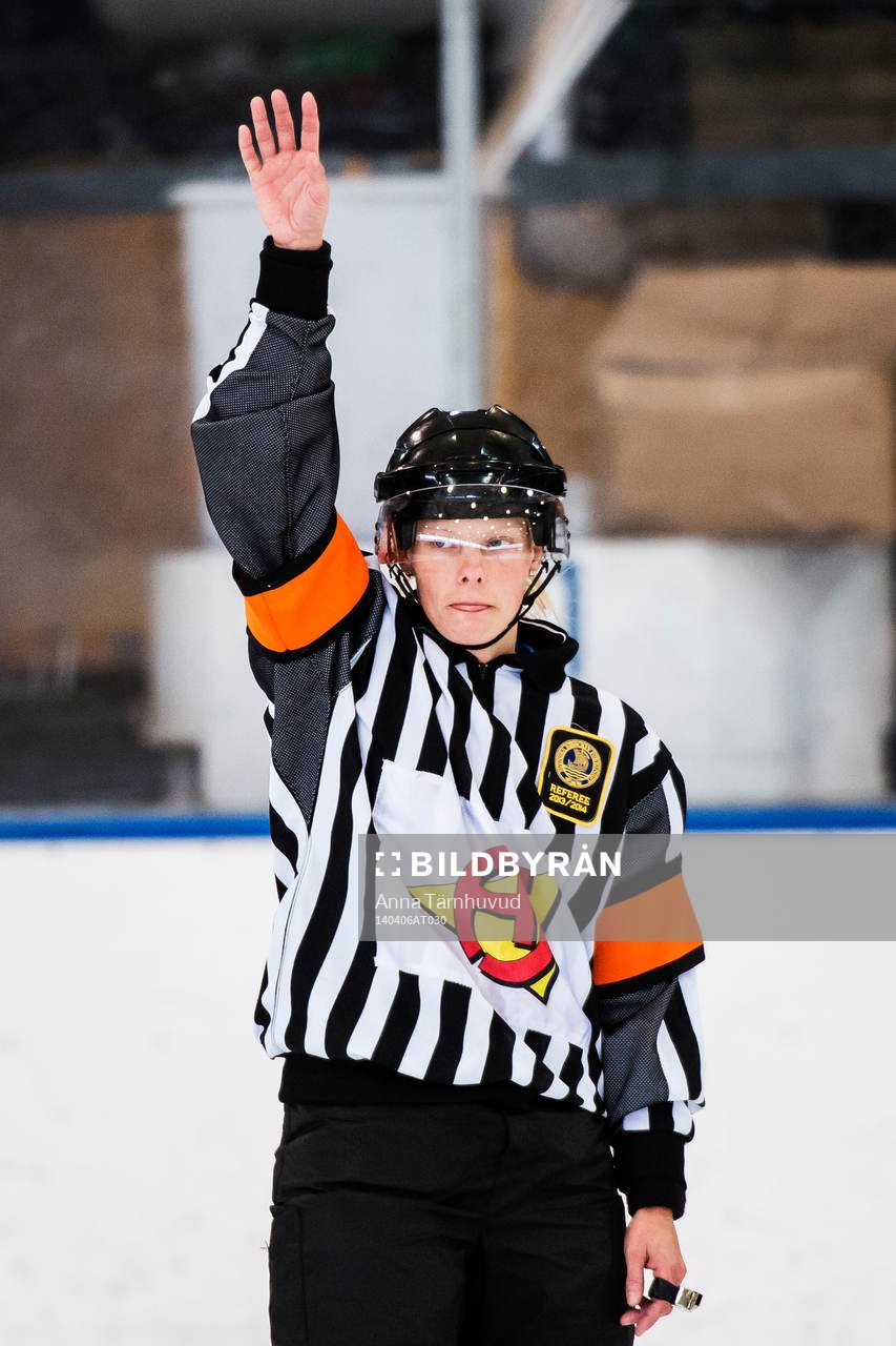 Domare Katarina Timglas