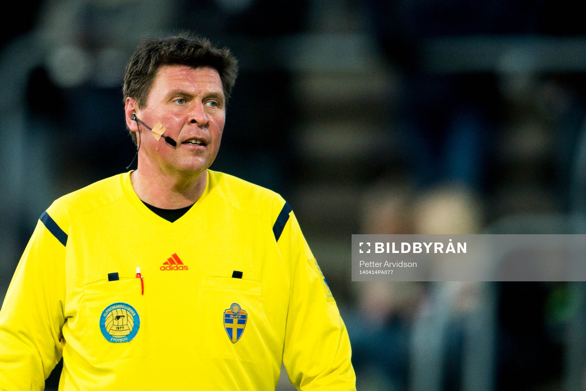 Domare Antti Kanerva