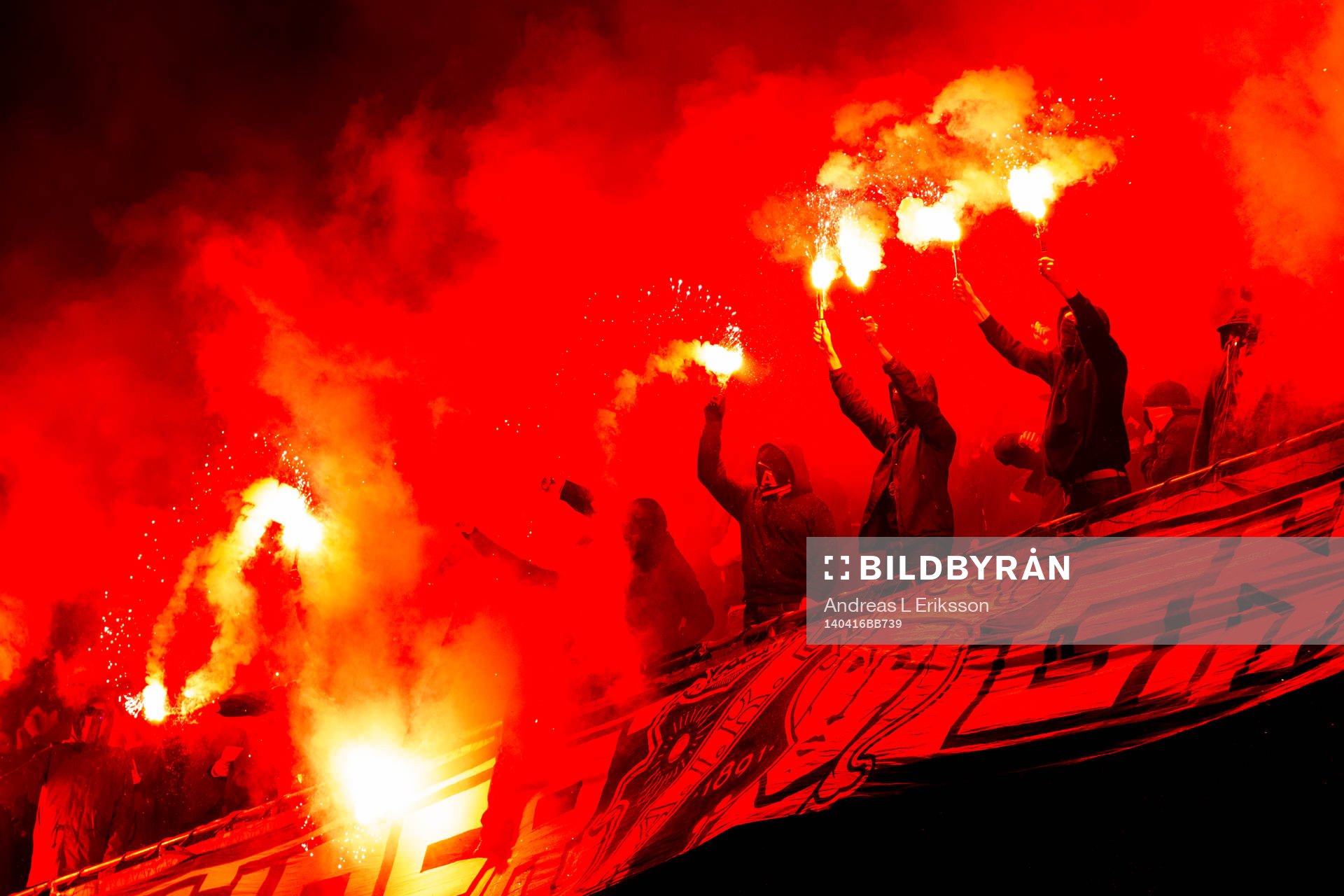 s supportrar tänder bengaler