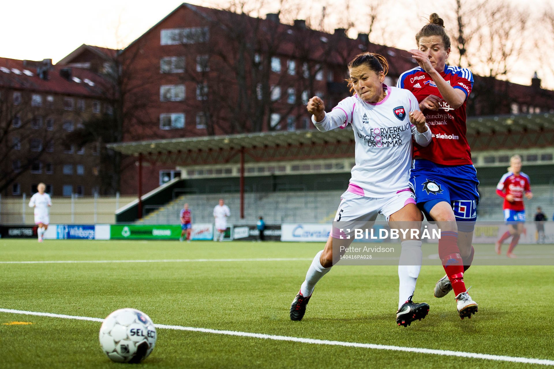 Rosengårds Alexandra Riley