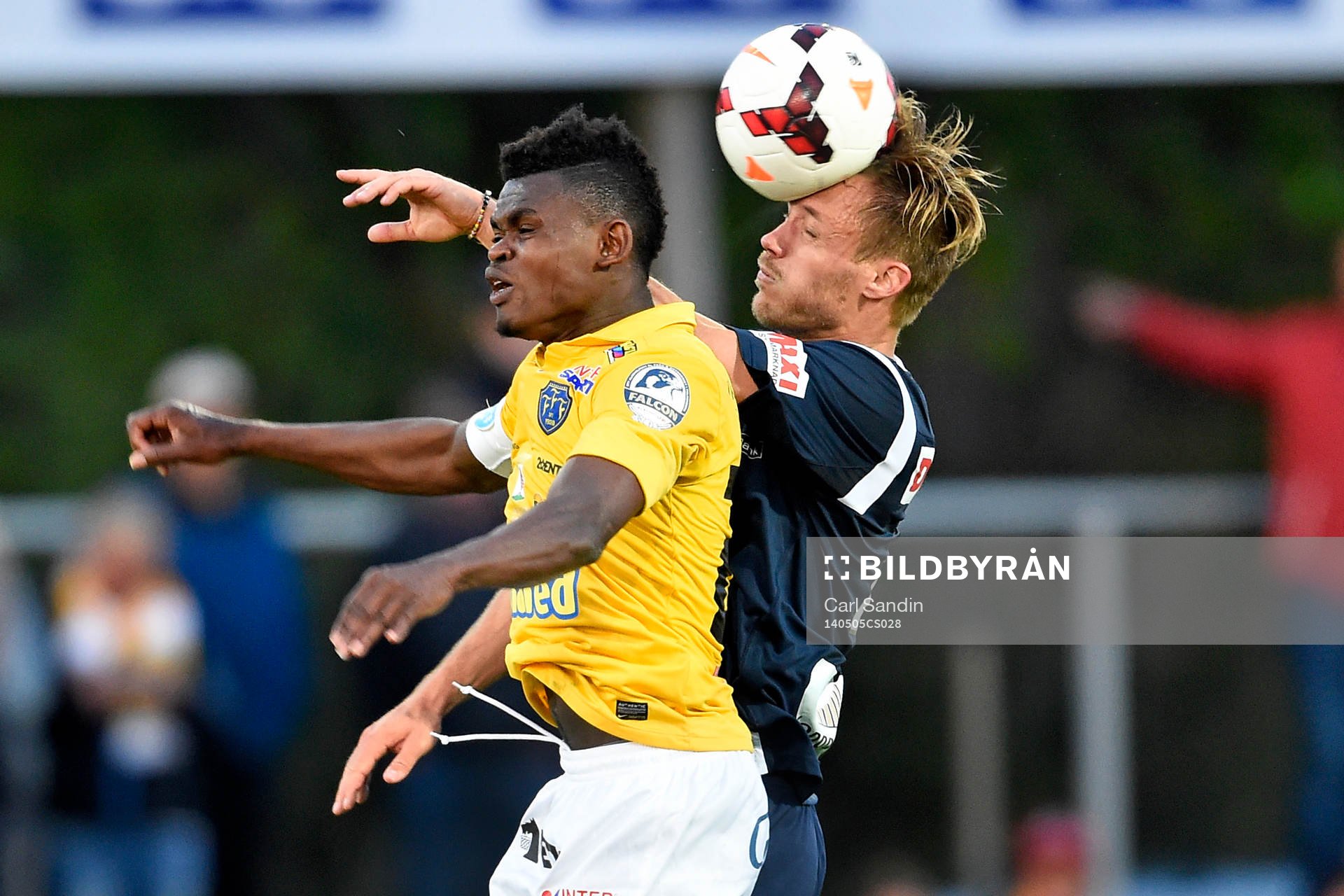 Falkenbergs Godsway Donyoh i nickduell med Gefles Anders