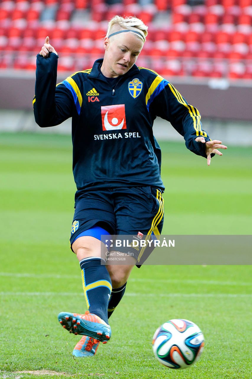 Sveriges Nilla Fischer