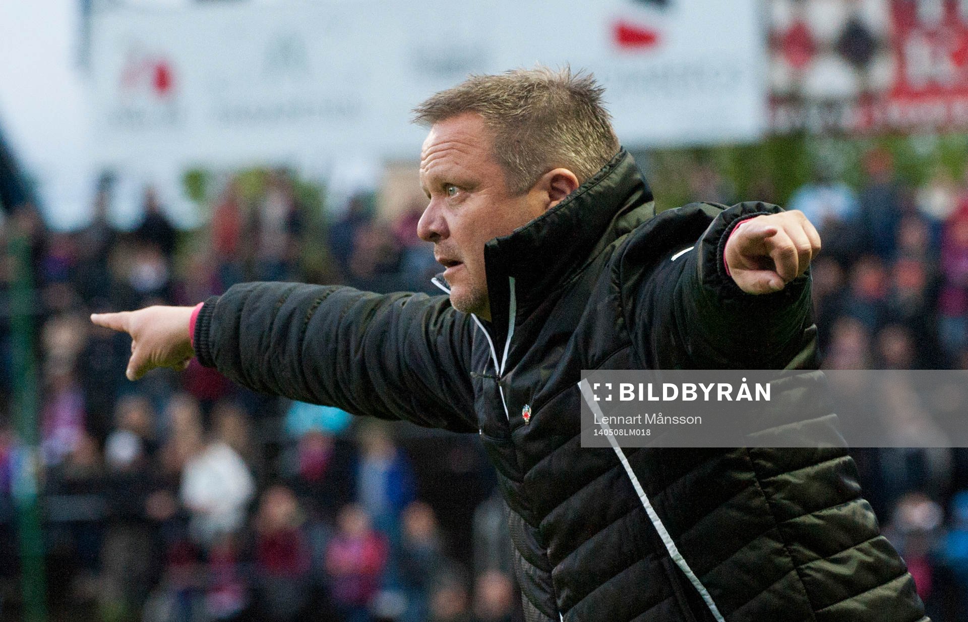 Helsingborgs tränare Roar Hansen i matchen i allsvenskan