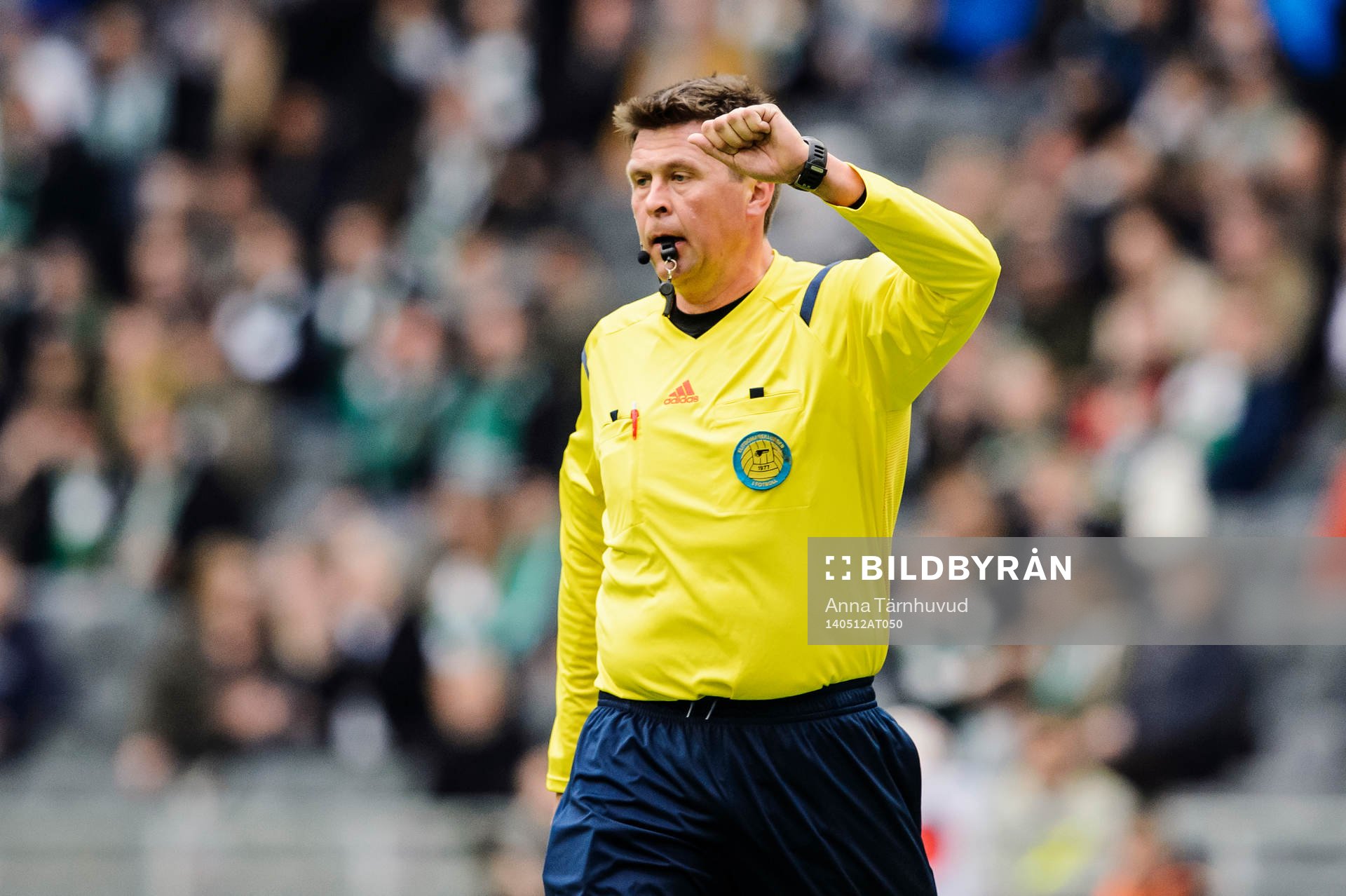Domare Antti Kanerva