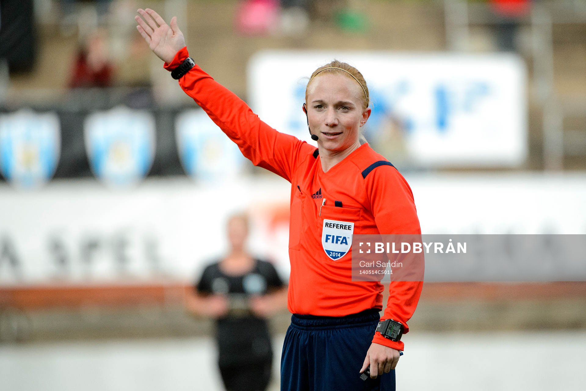Domare Linn Andersson